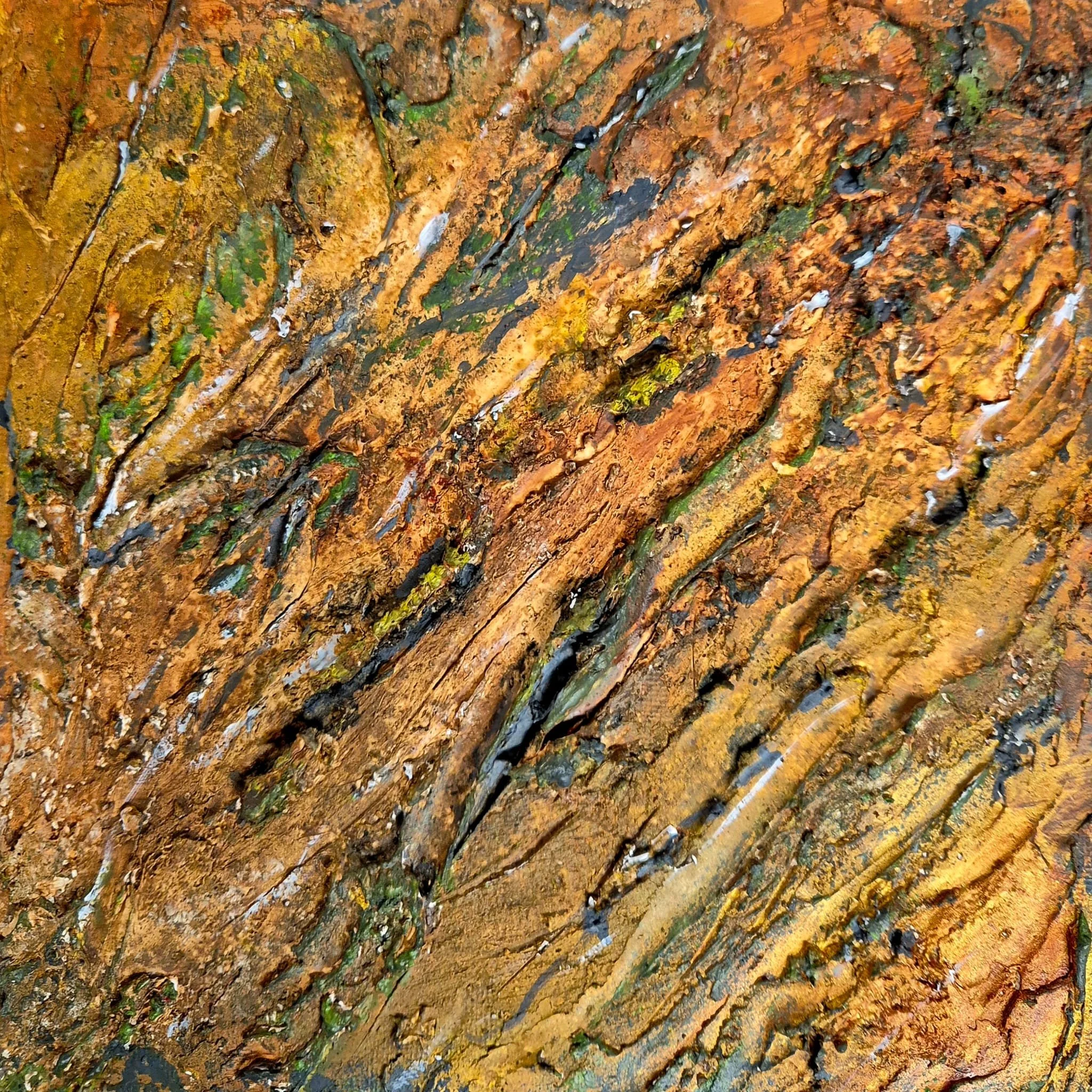 WhatsApp Image 2026-02-24 at 19.15.15.jpeg