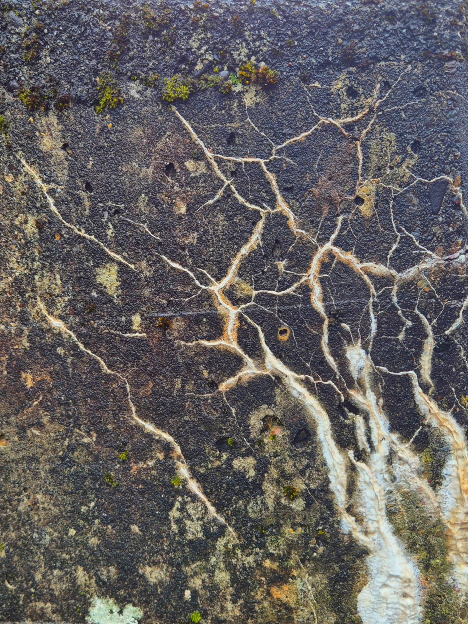 WhatsApp Image 2026-02-21 at 11.07.17.jpeg