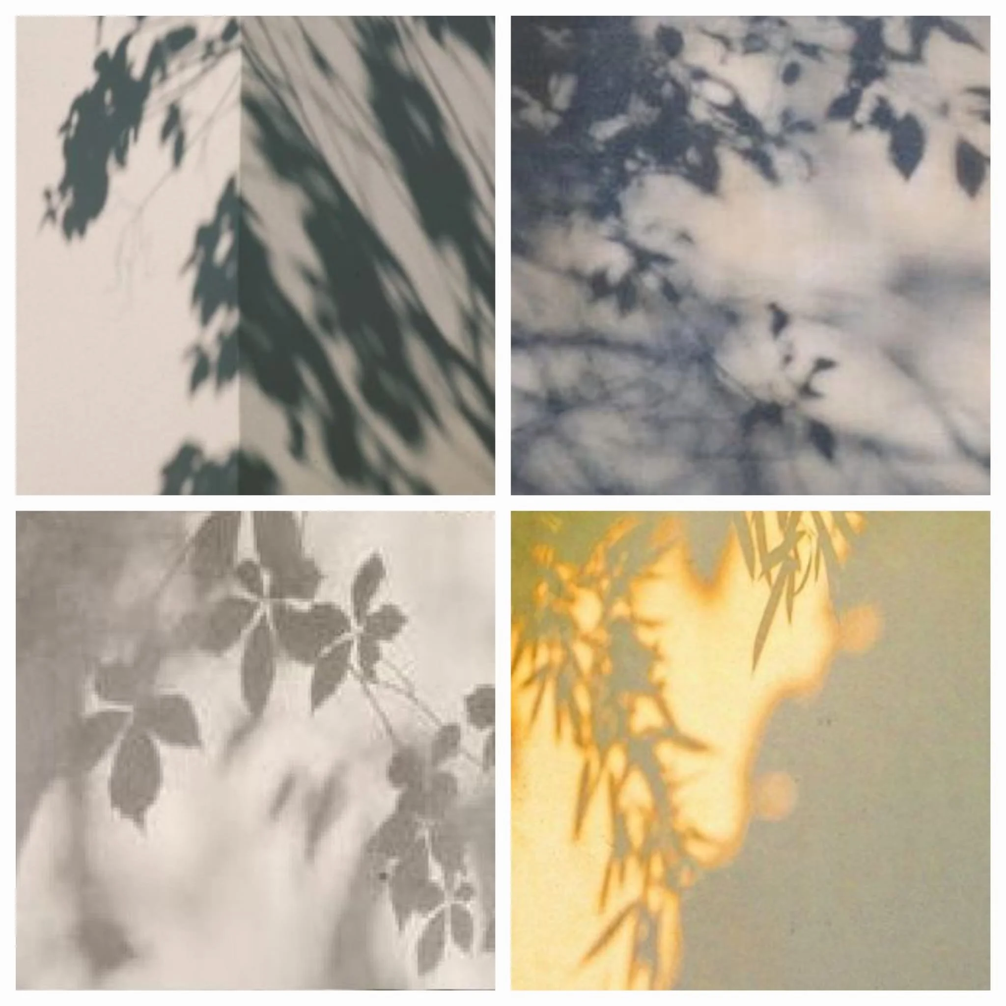 WhatsApp Image 2026-04-14 at 16.21.38 (3).jpeg