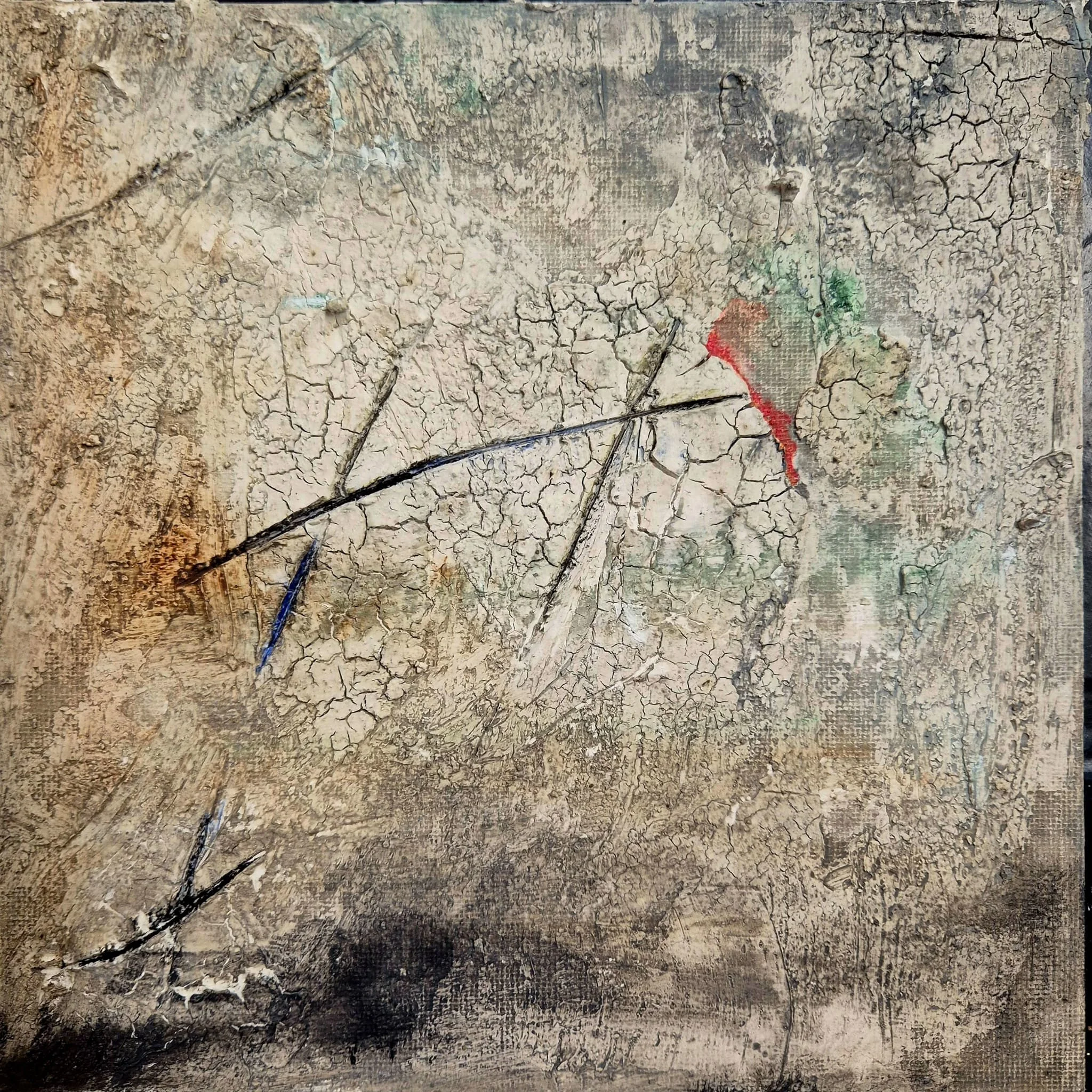 WhatsApp Image 2026-02-24 at 19.15.19 (1).jpeg