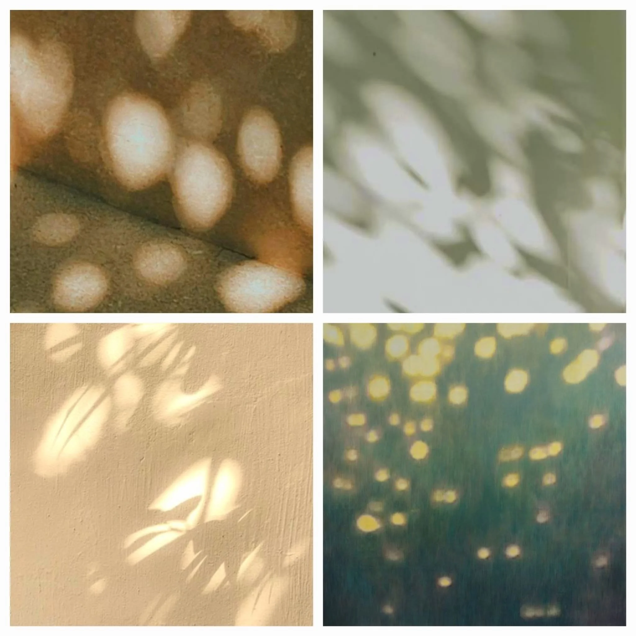 WhatsApp Image 2026-04-14 at 16.21.37 (1).jpeg