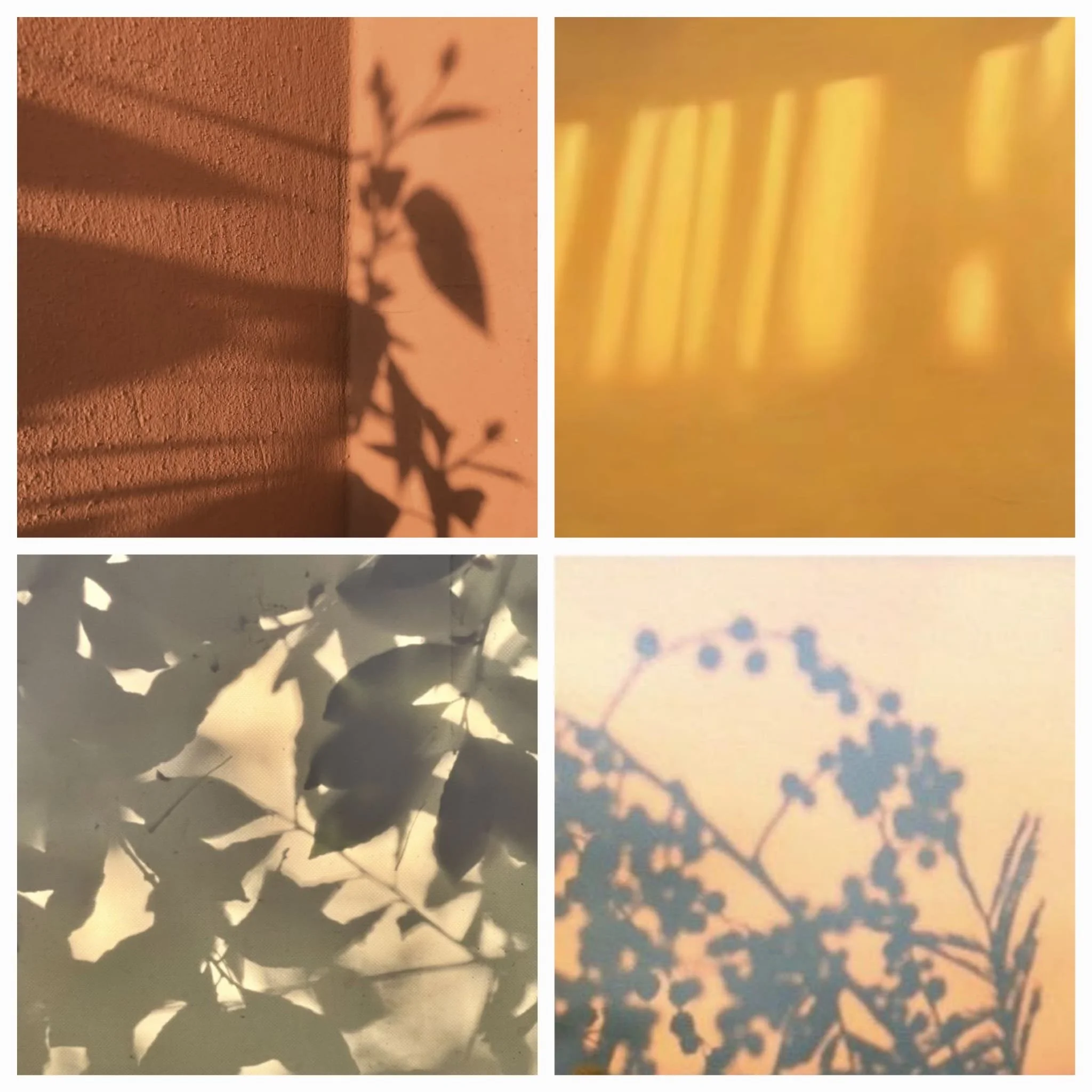 WhatsApp Image 2026-04-14 at 16.21.37 (2).jpeg