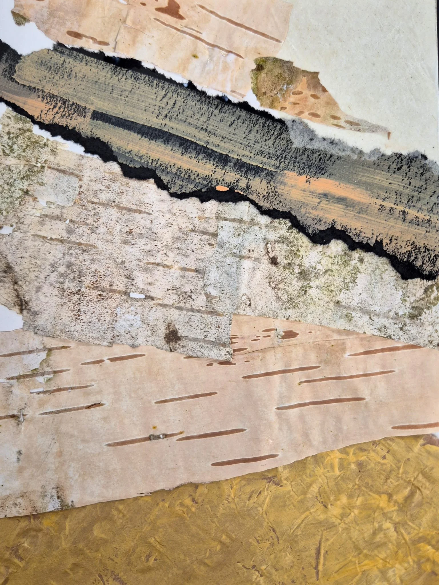 WhatsApp Image 2026-03-03 at 19.38.14 (3).jpeg