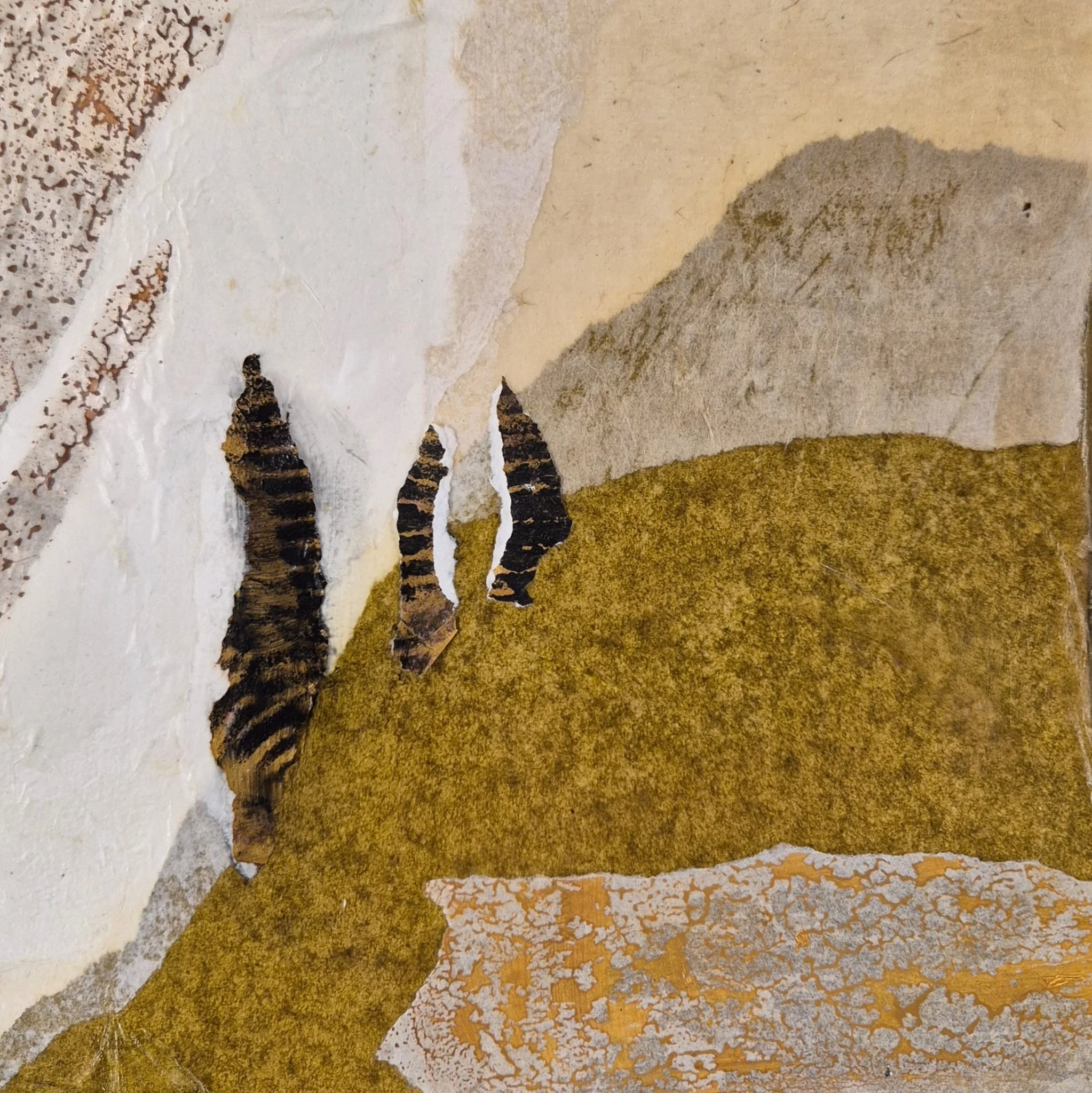 WhatsApp Image 2026-03-03 at 19.38.16.jpeg