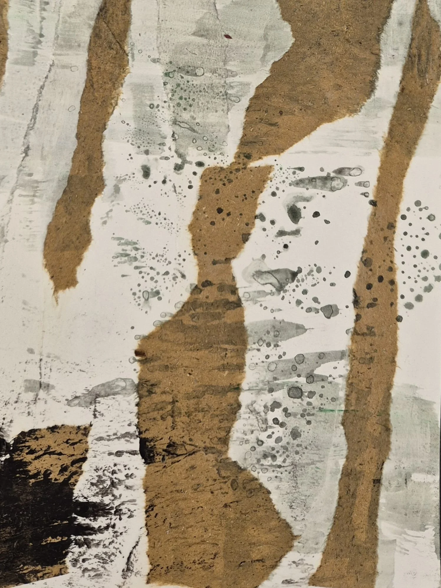 WhatsApp Image 2026-03-03 at 19.38.16 (1).jpeg