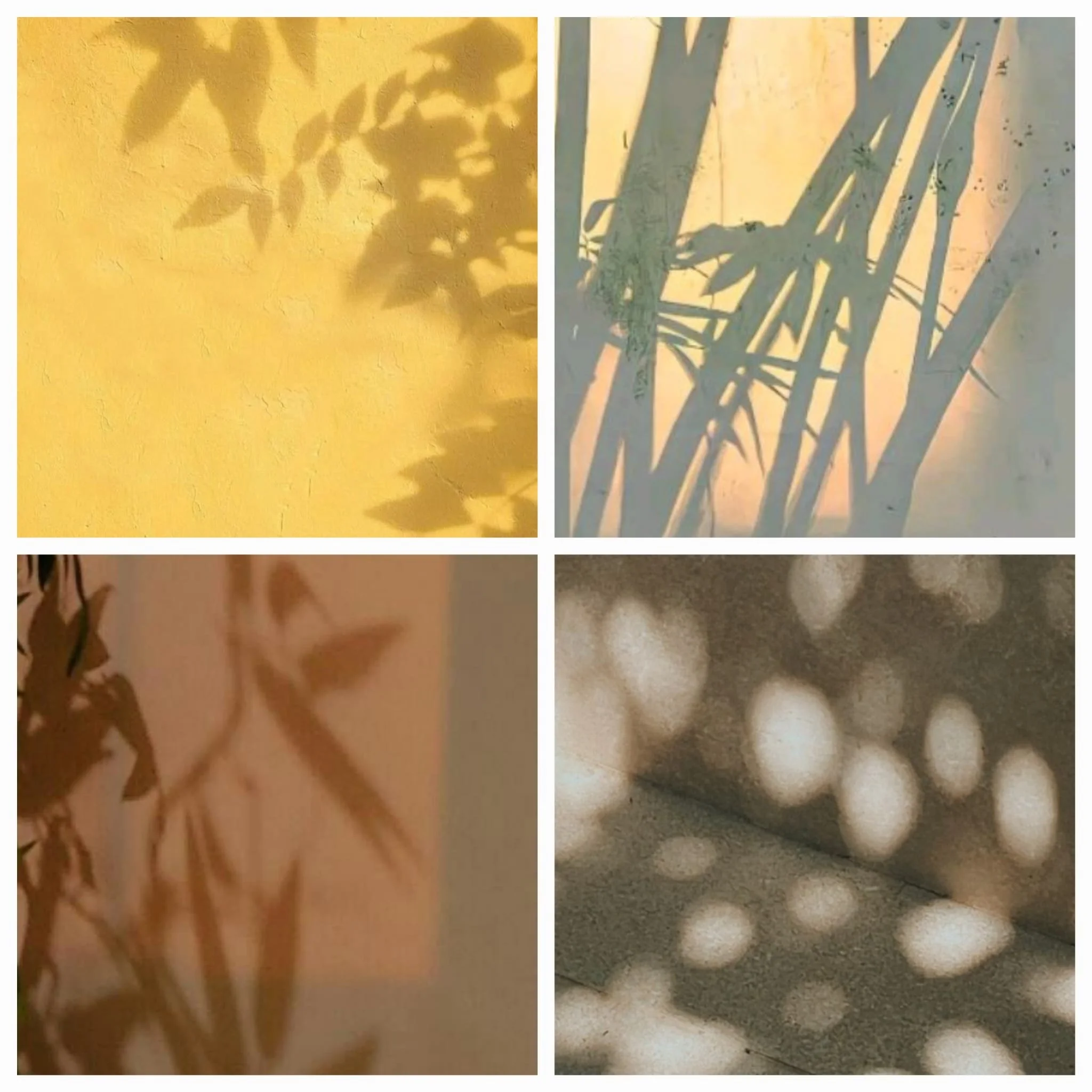 WhatsApp Image 2026-04-14 at 16.21.38.jpeg