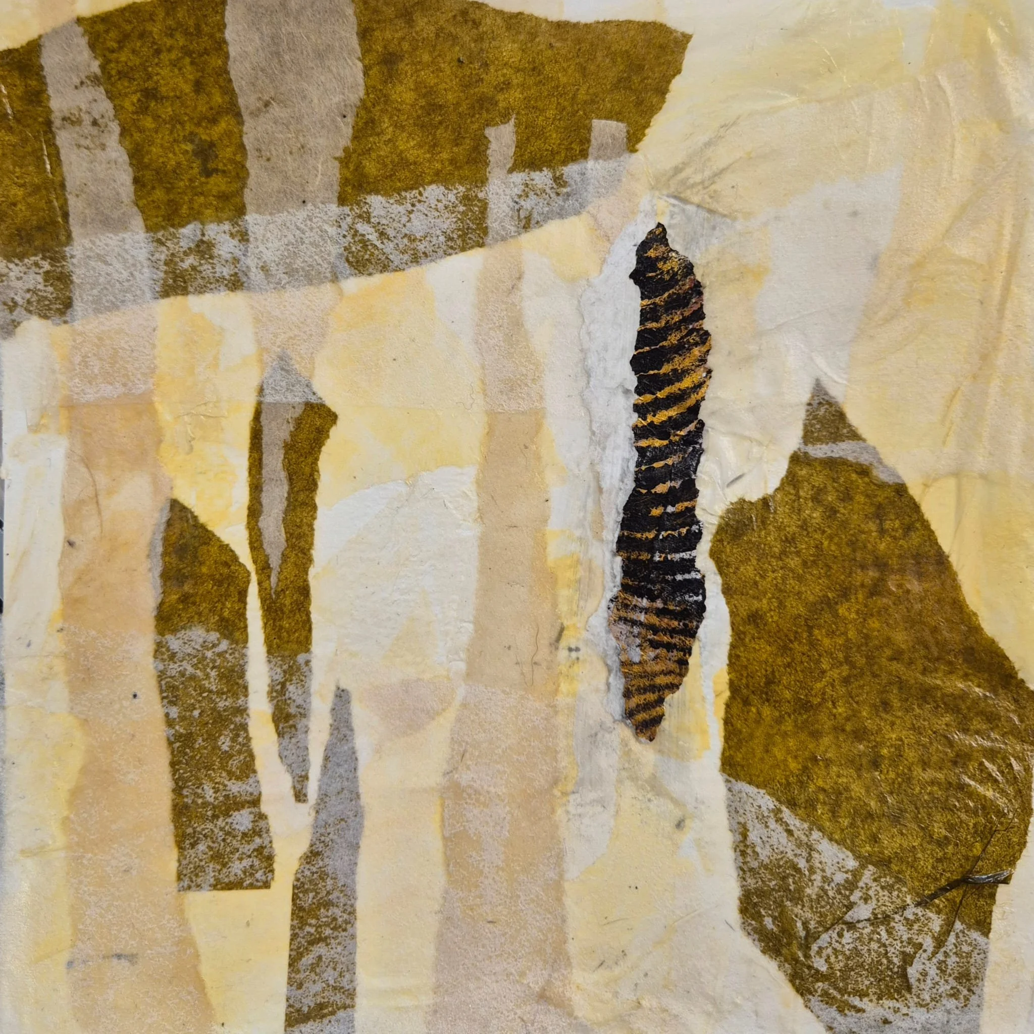 WhatsApp Image 2026-03-03 at 19.38.11.jpeg