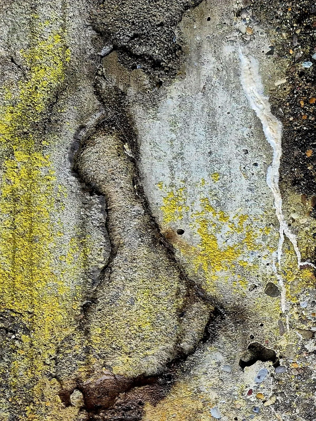 WhatsApp Image 2026-02-21 at 11.07.16.jpeg