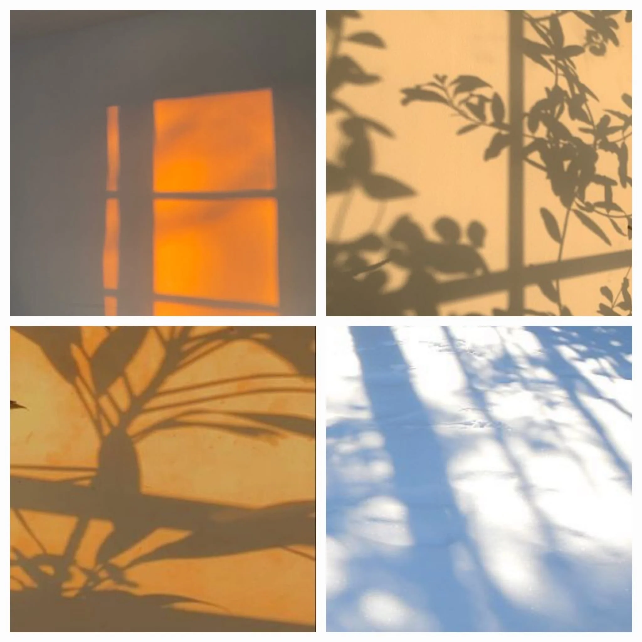 WhatsApp Image 2026-04-14 at 16.21.38 (7).jpeg