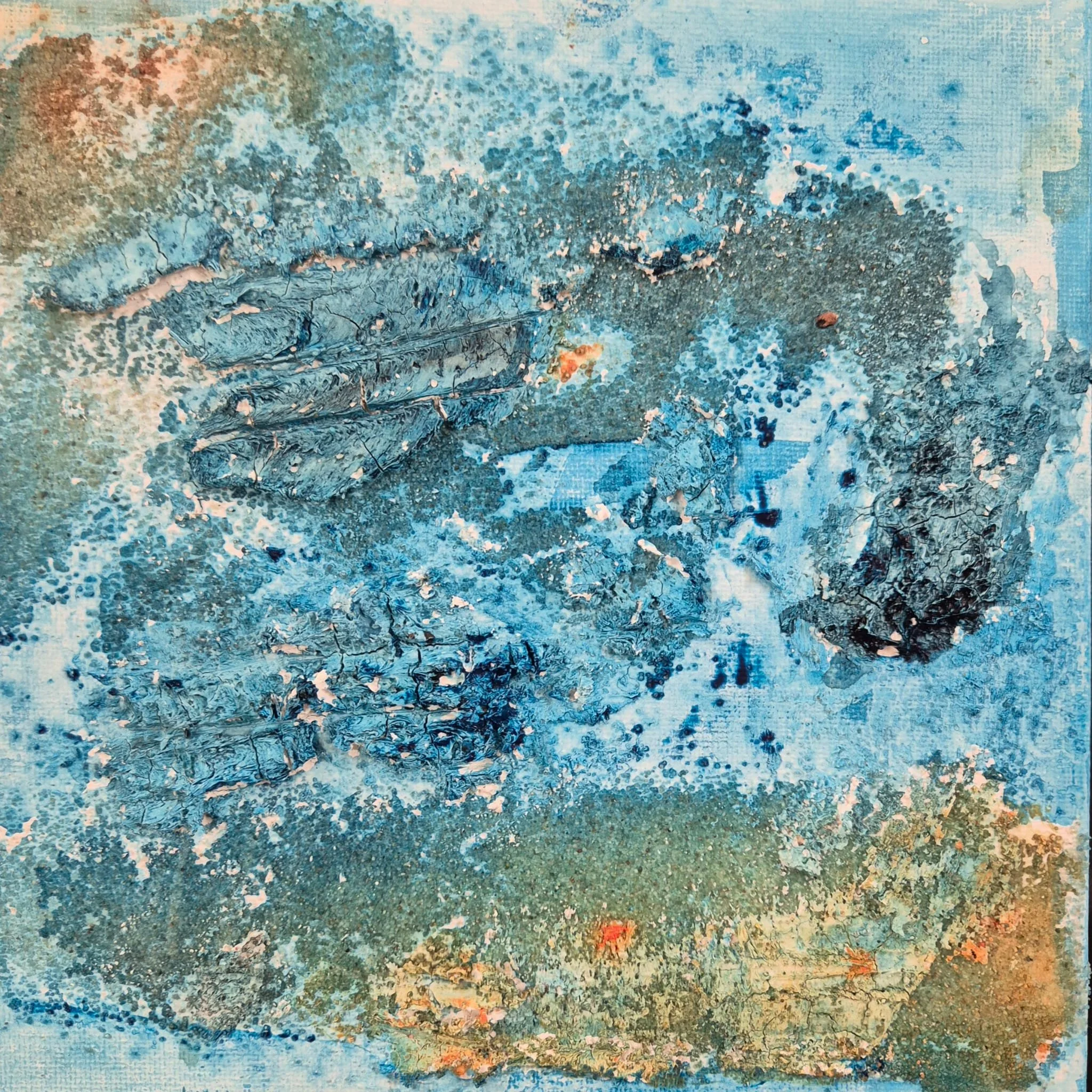 WhatsApp Image 2026-02-24 at 19.15.19 (3).jpeg