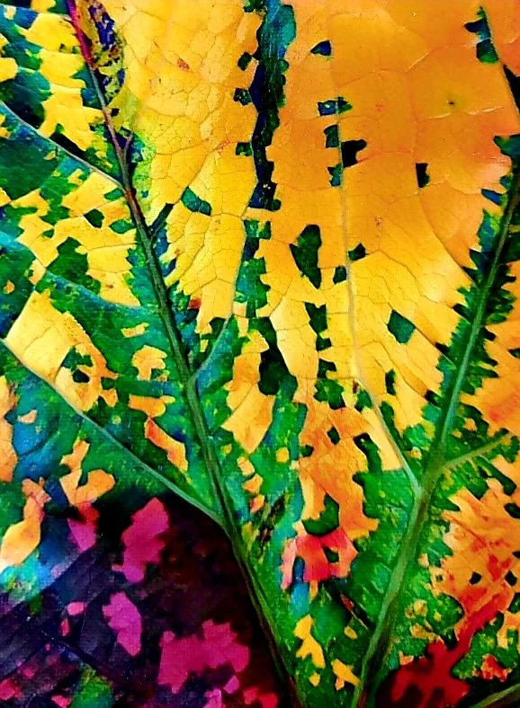 20211028_151714.jpg