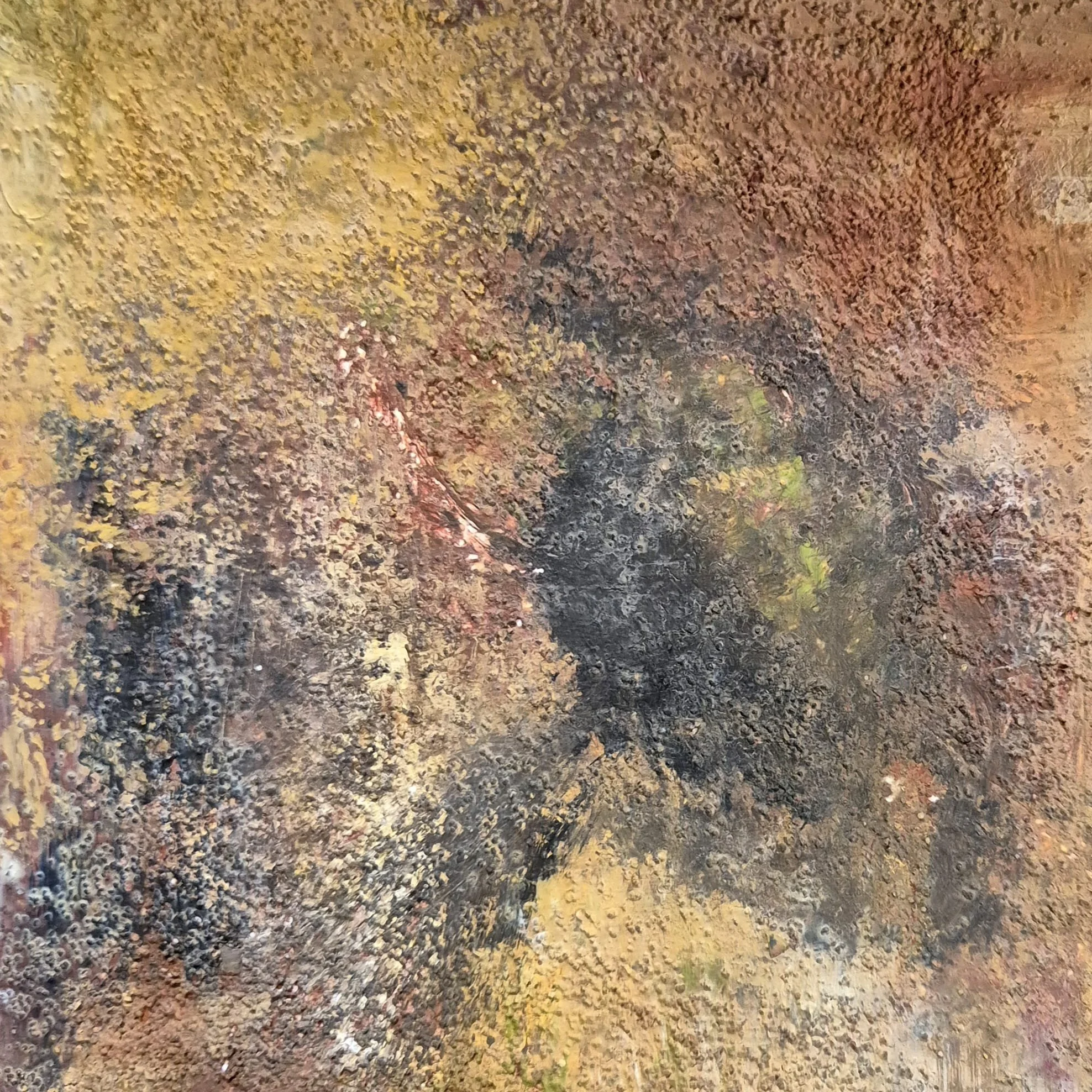 WhatsApp Image 2026-02-02 at 08.51.42 (1).jpeg