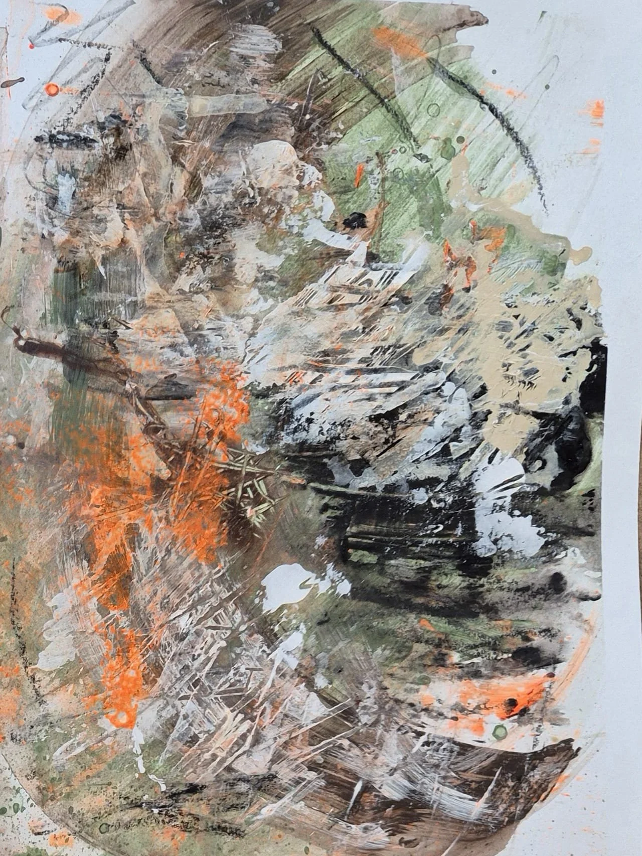 WhatsApp Image 2026-01-21 at 07.26.59.jpeg