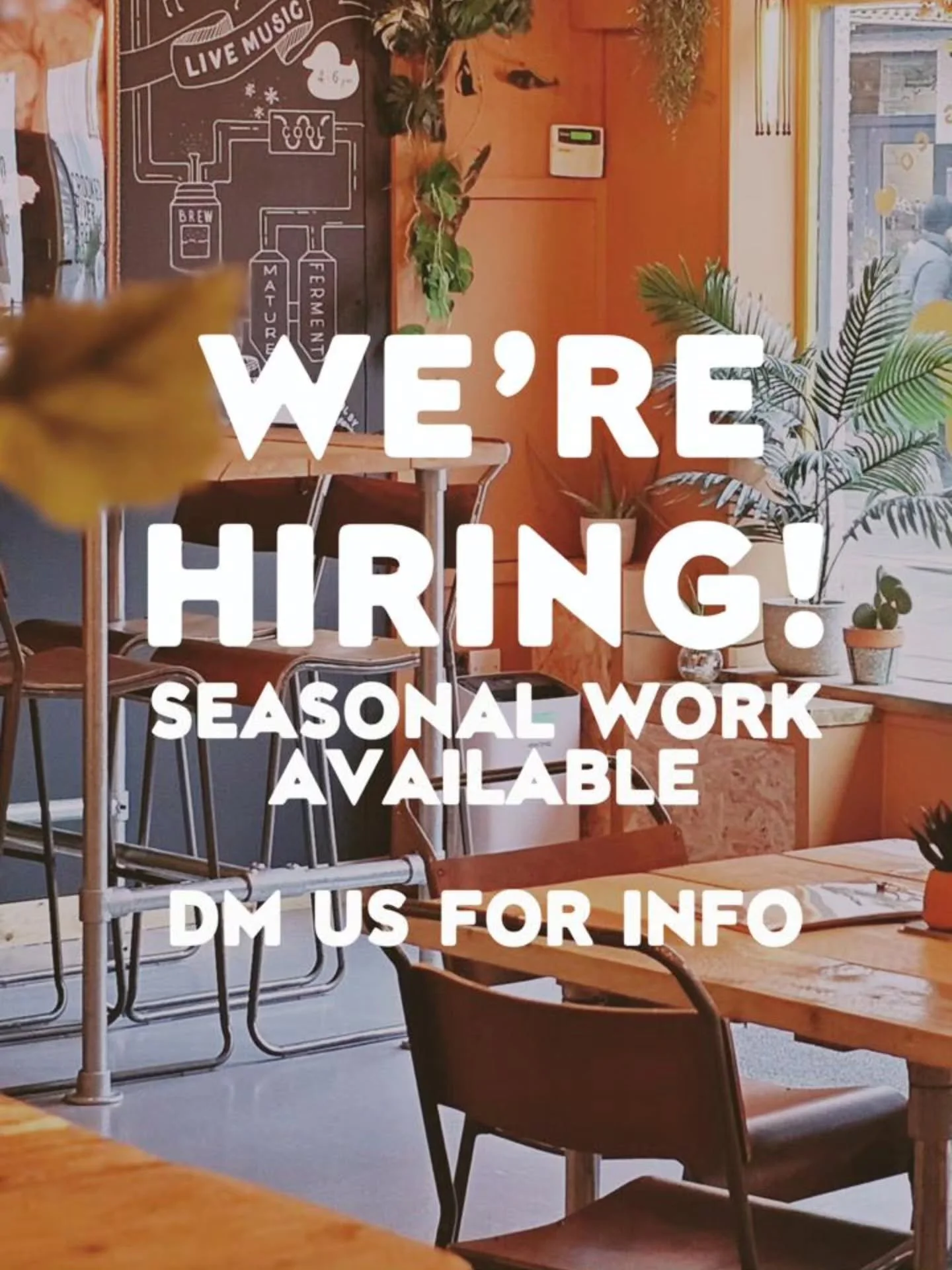 We're looking for a friendly, energetic person to join our taproom team in Keswick over the summer.

If you enjoy meeting people, working in a fast-paced environment and being part of a great team, we'd love to hear from you.

What to expect:
-Weeken