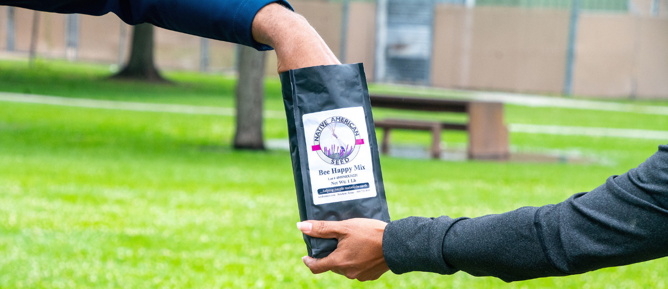 The Witness Series - Earth Bound: Gardening for Liberation