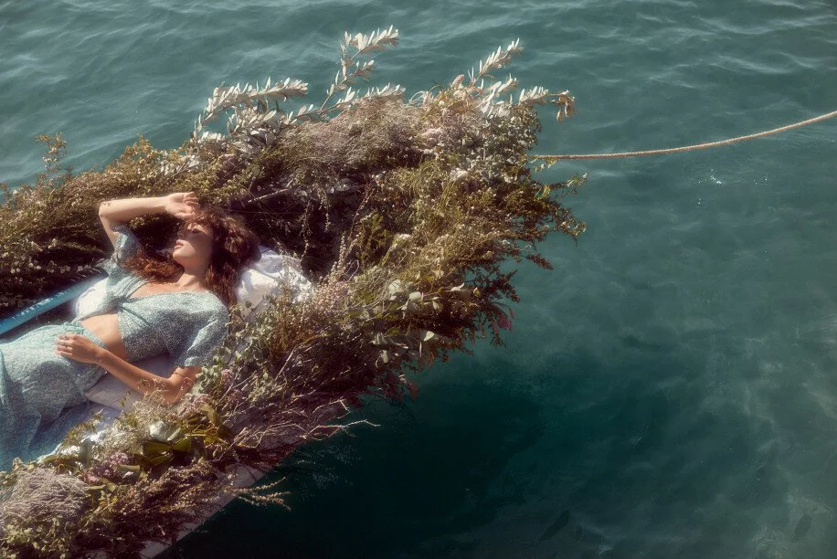 Tree of Life