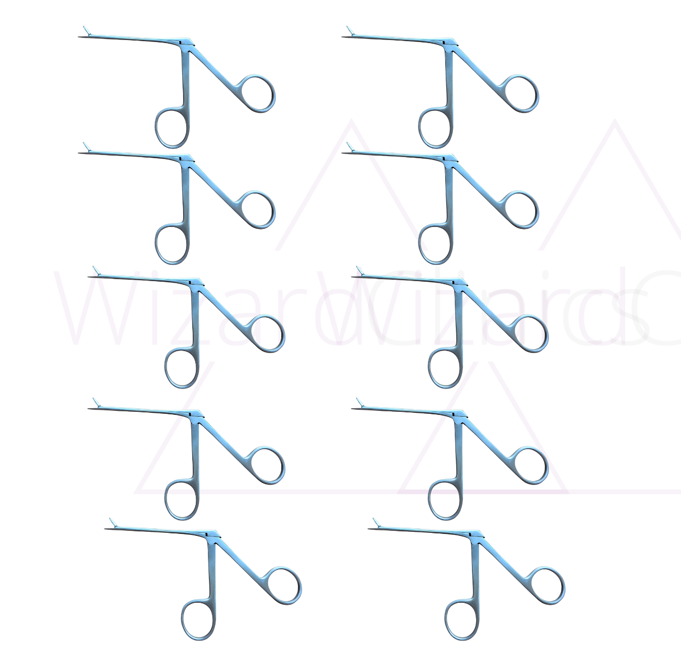 Crocodile forceps x 10.png