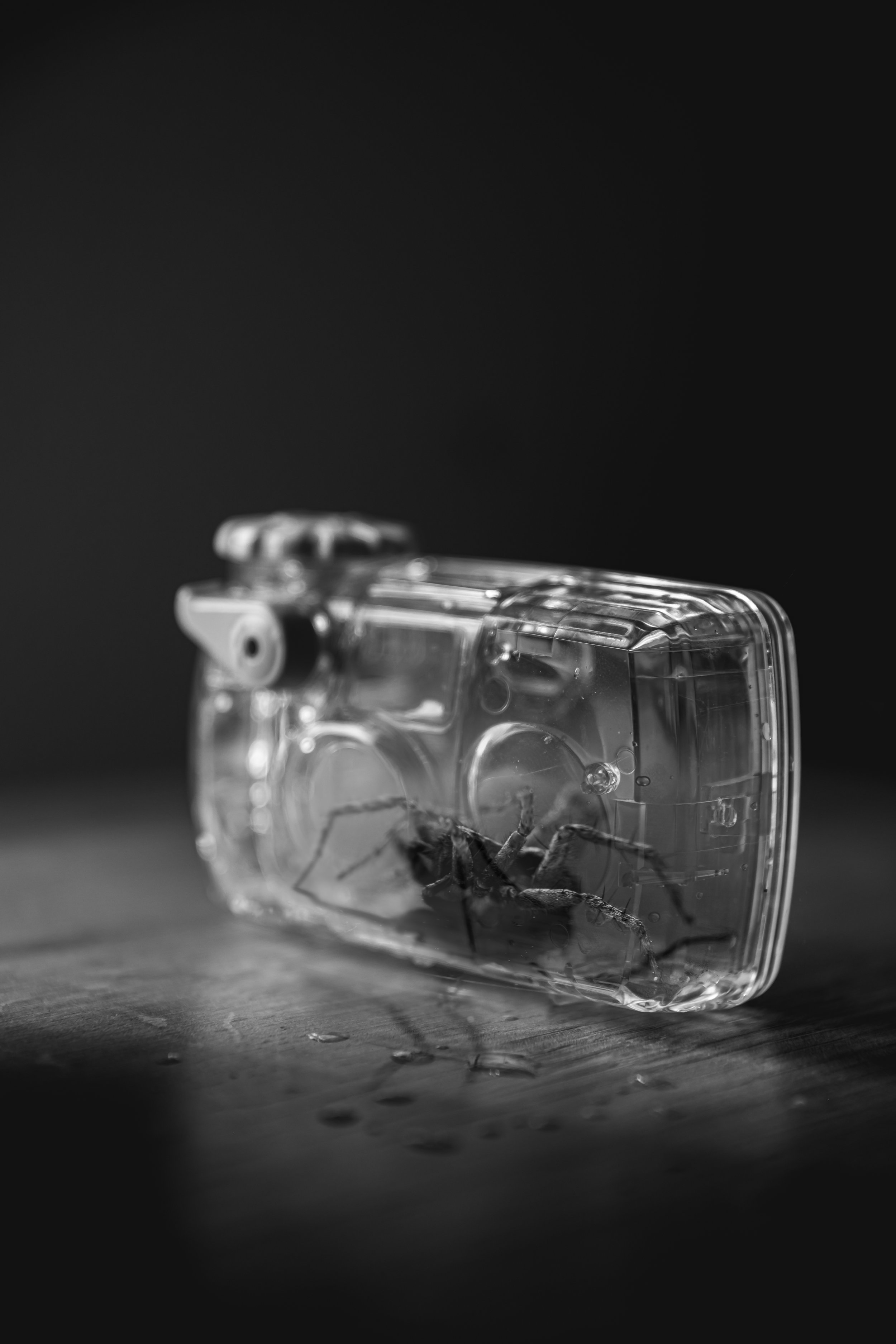 D80A8188-Edit.jpg