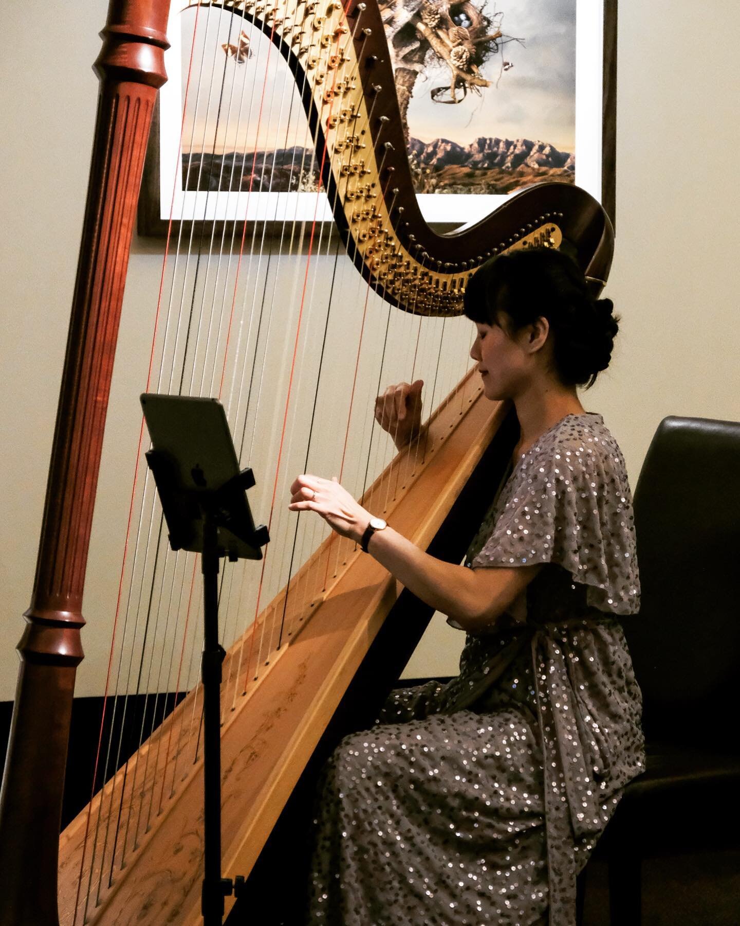 Performing the Australian, New Zealand and American national anthems for ADA&rsquo;s Awards Night at The Australian Club 

@melbentco #harp #harpist