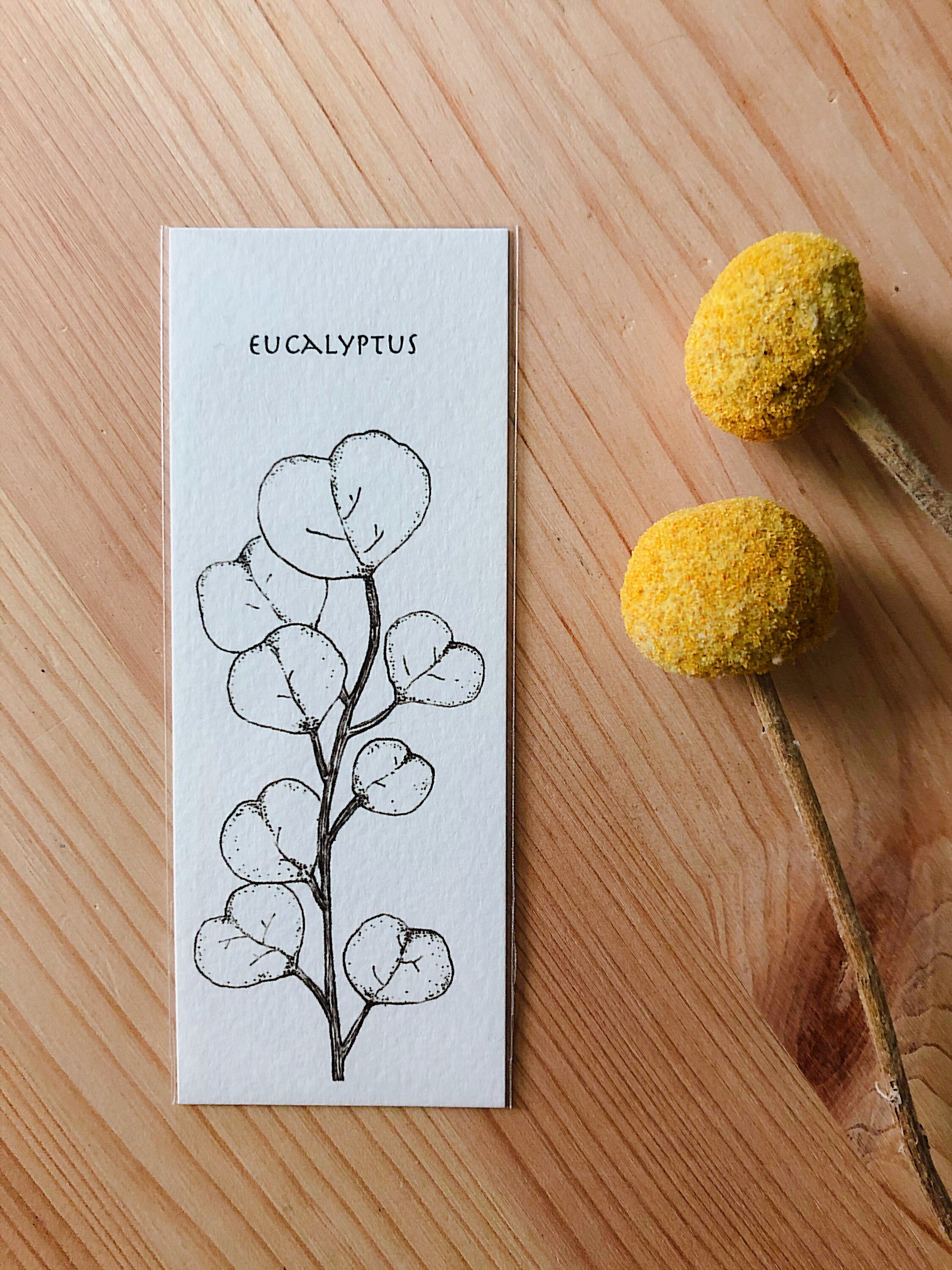 https://i.etsystatic.com/12346121/r/il/dcc59f/2411072100/il_fullxfull.2411072100_h60x.jpg