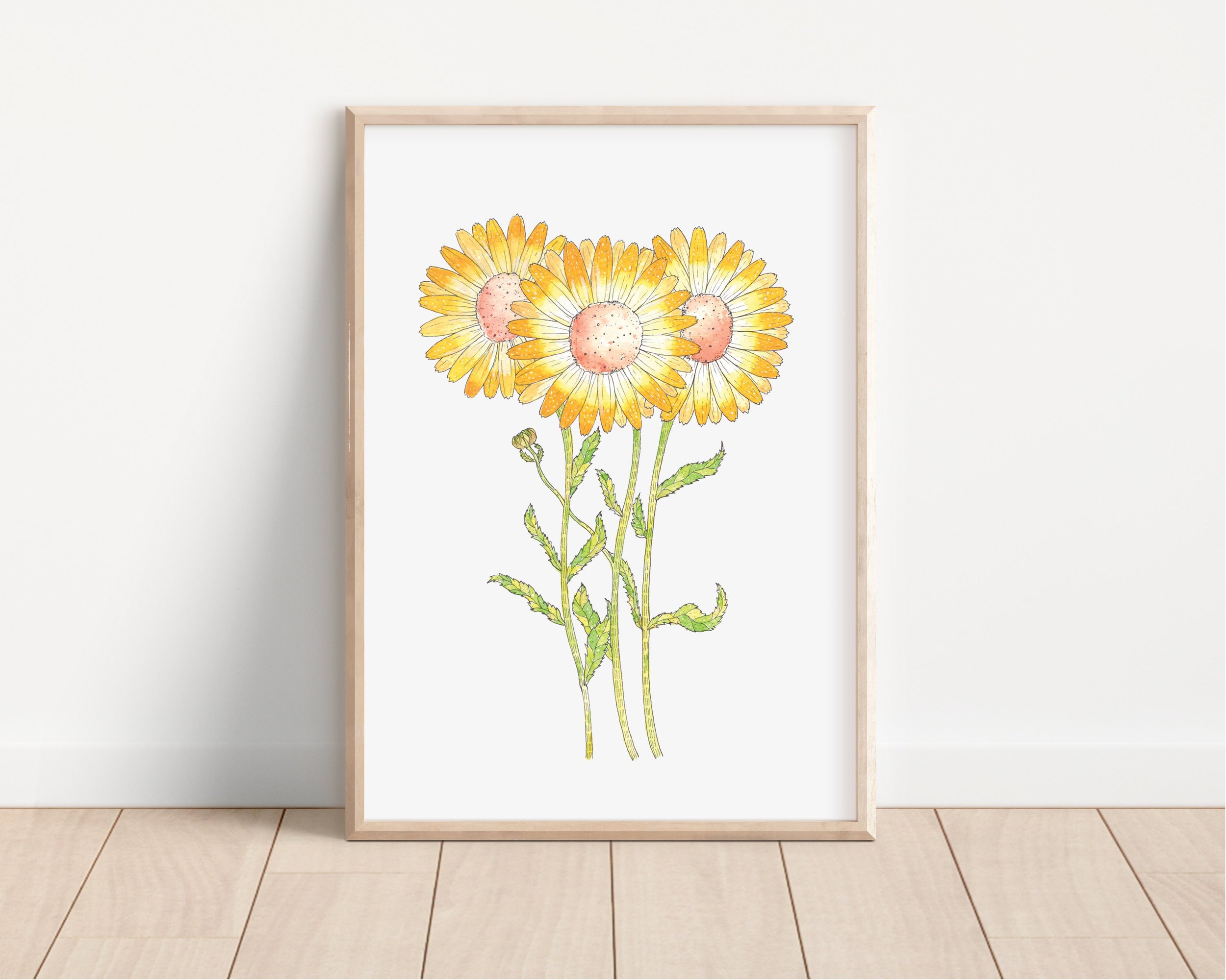 https://i.etsystatic.com/12346121/r/il/68d64f/3560978334/il_fullxfull.3560978334_a4oz.jpg
