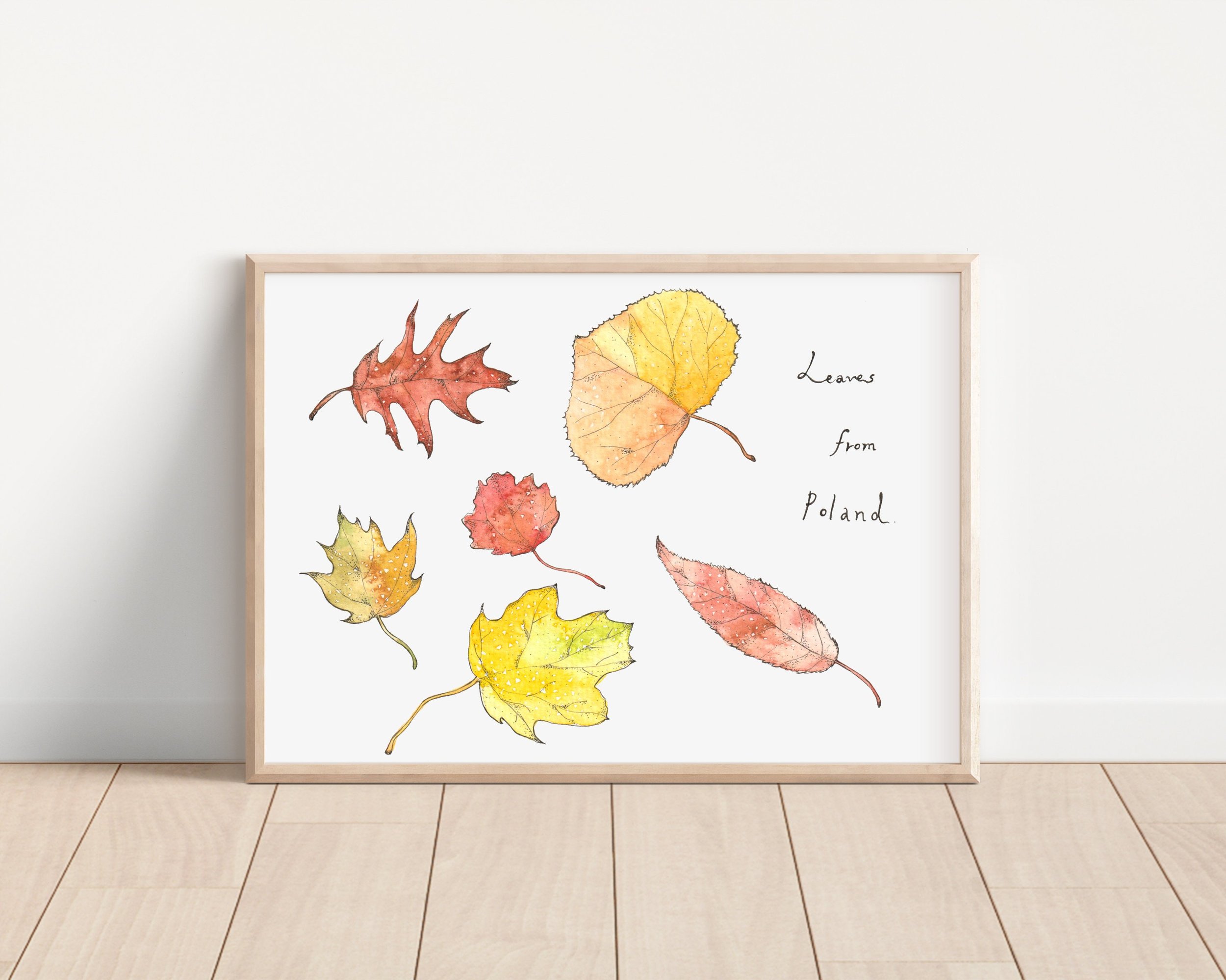 https://i.etsystatic.com/12346121/r/il/bc5b97/3319358636/il_fullxfull.3319358636_pljn.jpg