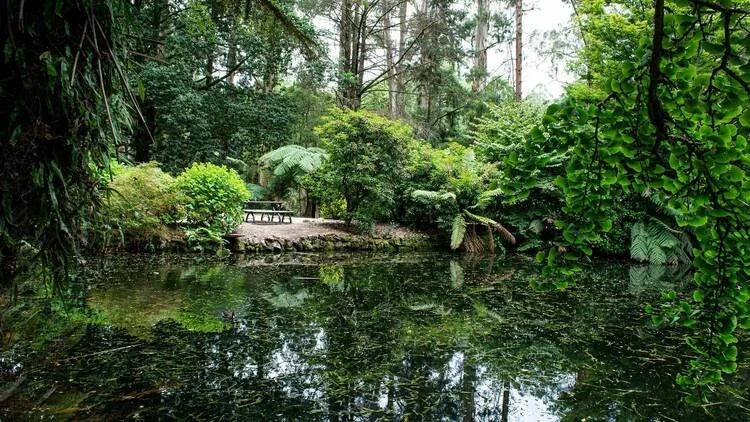 Alfred Nicholas Memorial Gardens