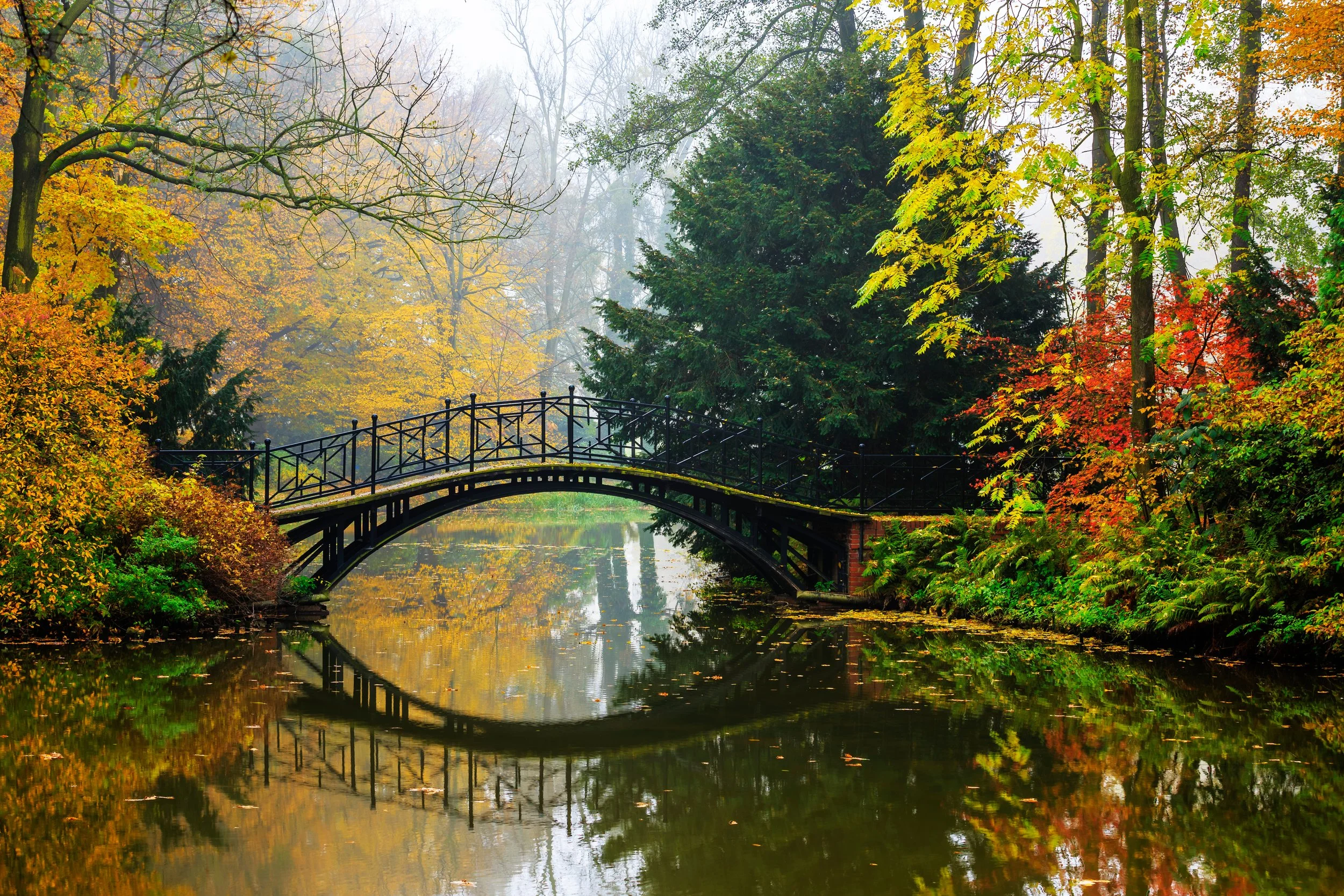 Vee’s Inspiration June 4, 2023