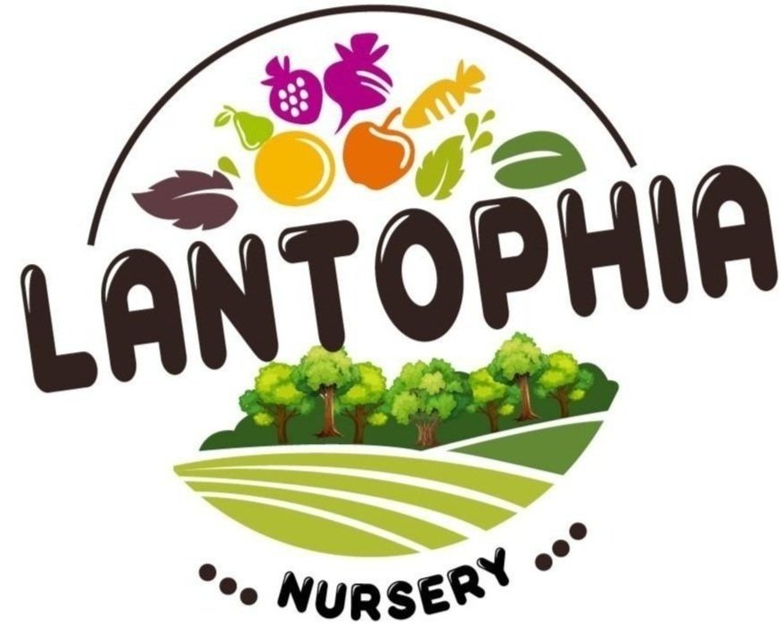 Lantophia Nursery