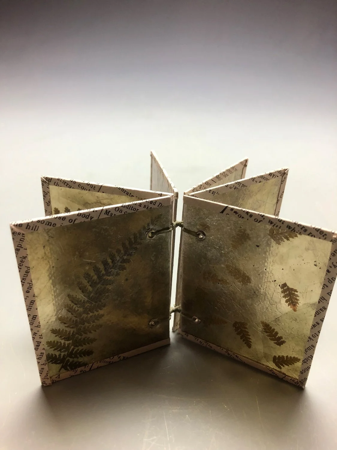 fernbook1.jpg