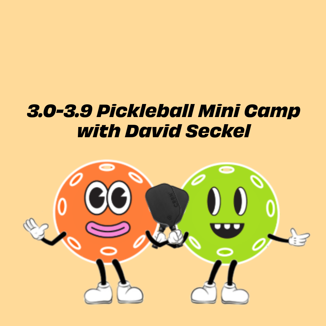 3.0-3.9 Pickleball Mini Camp with David Seckel