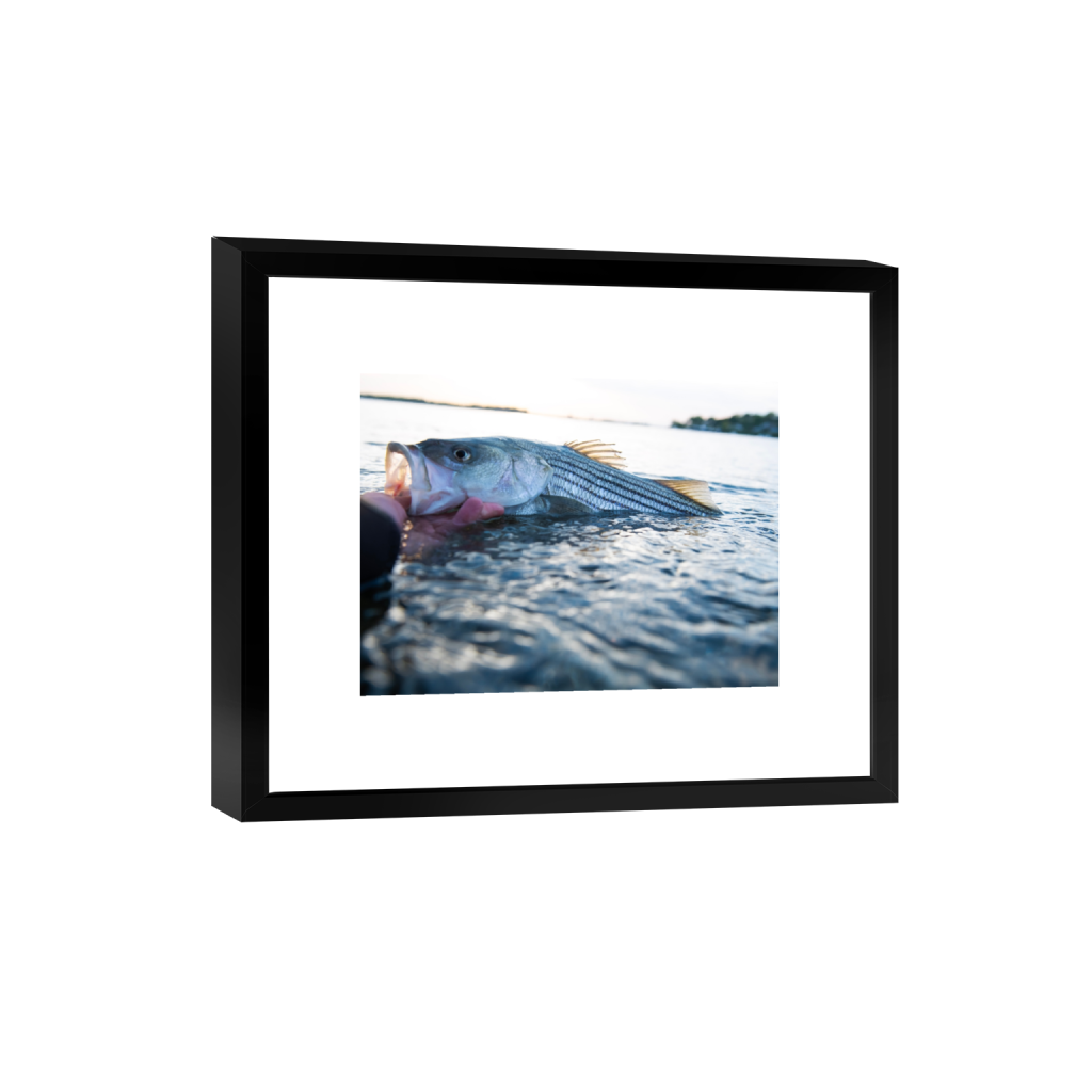 smartframe_rectangle3_4_458_0_7338_5504_0_false_ffffff_0_0.png