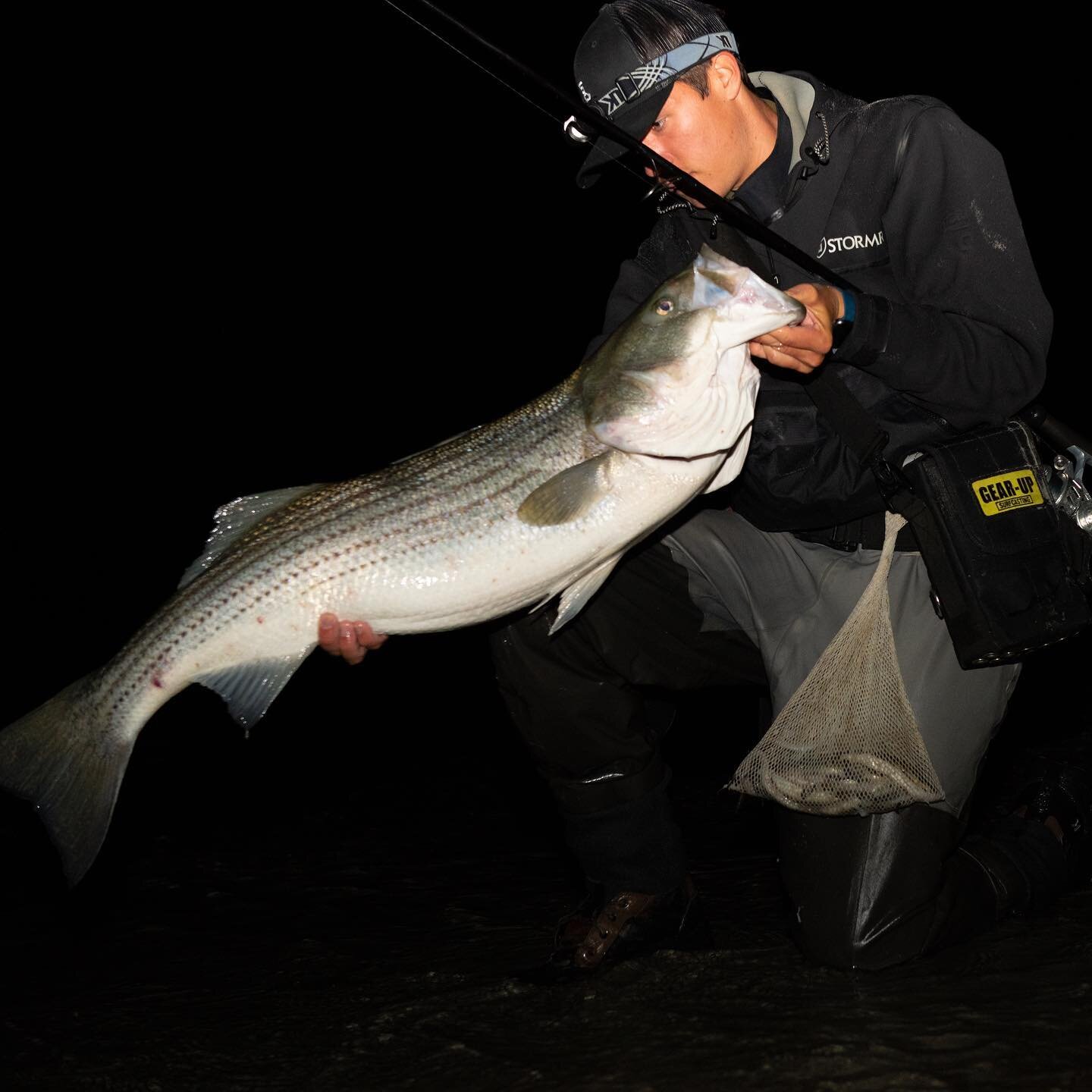 I find myself thinking of spring at the end of every season. Still a long winter before I can catch a big spring bass like this. #stripedbasslures #stripedbassmigration #stripedbassplugs #onthewatermagazine #nightshiftcrew to #surfcasting #surfcaster