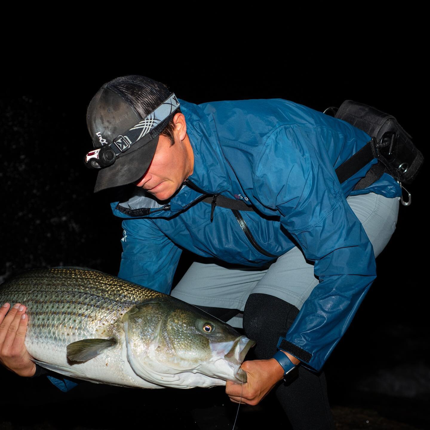 Hard to get a grip on a big angry bass. #stripedbasslures #stripedbassmigration #stripedbassplugs #onthewatermagazine #nightshiftcrew to #surfcasting #surfcaster #surfcasters #striper  #stripedbass #stripedbassfishing 
#stripedbass #stripedbasslures 