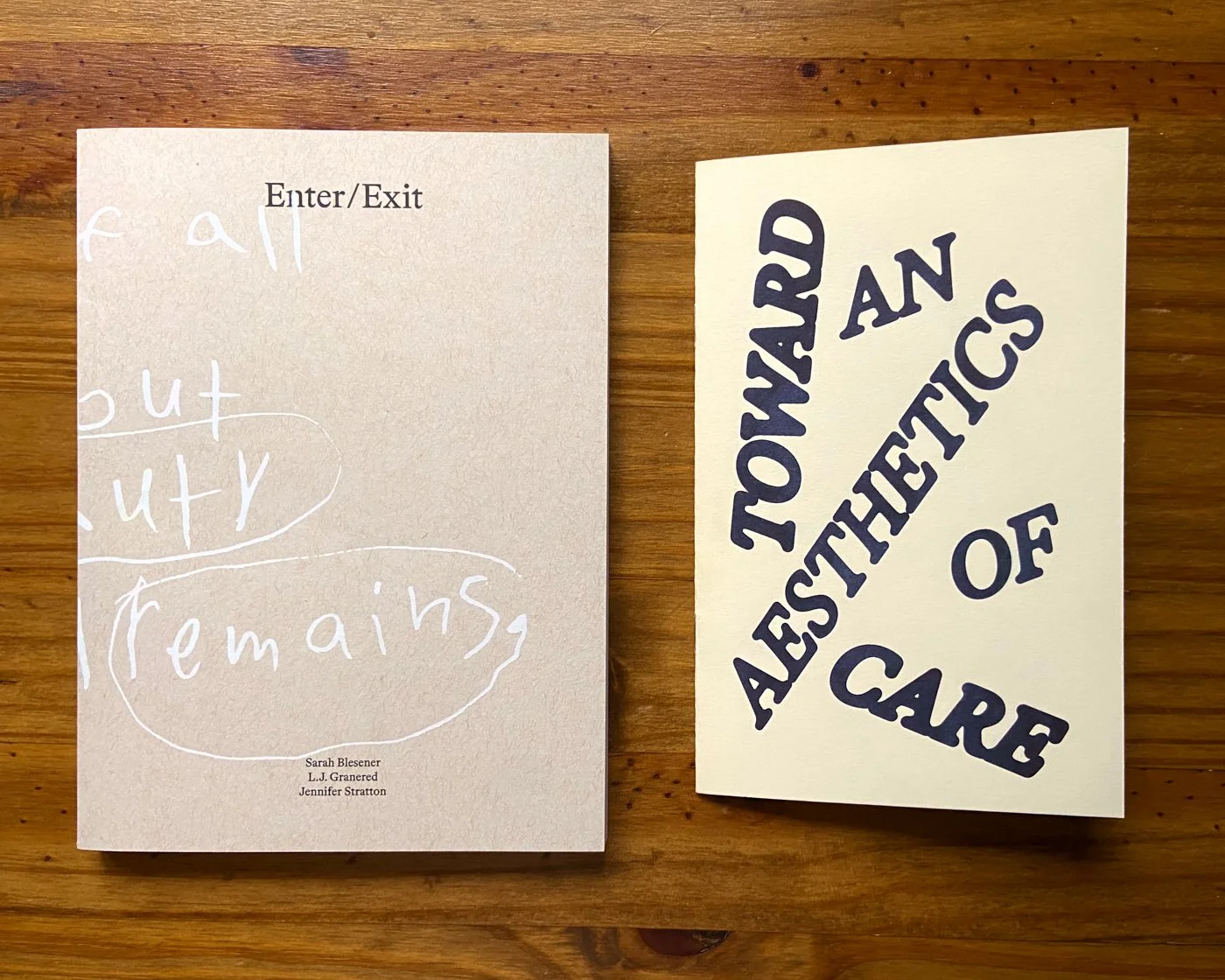 Toward an Aesthetics of Care 3.jpg