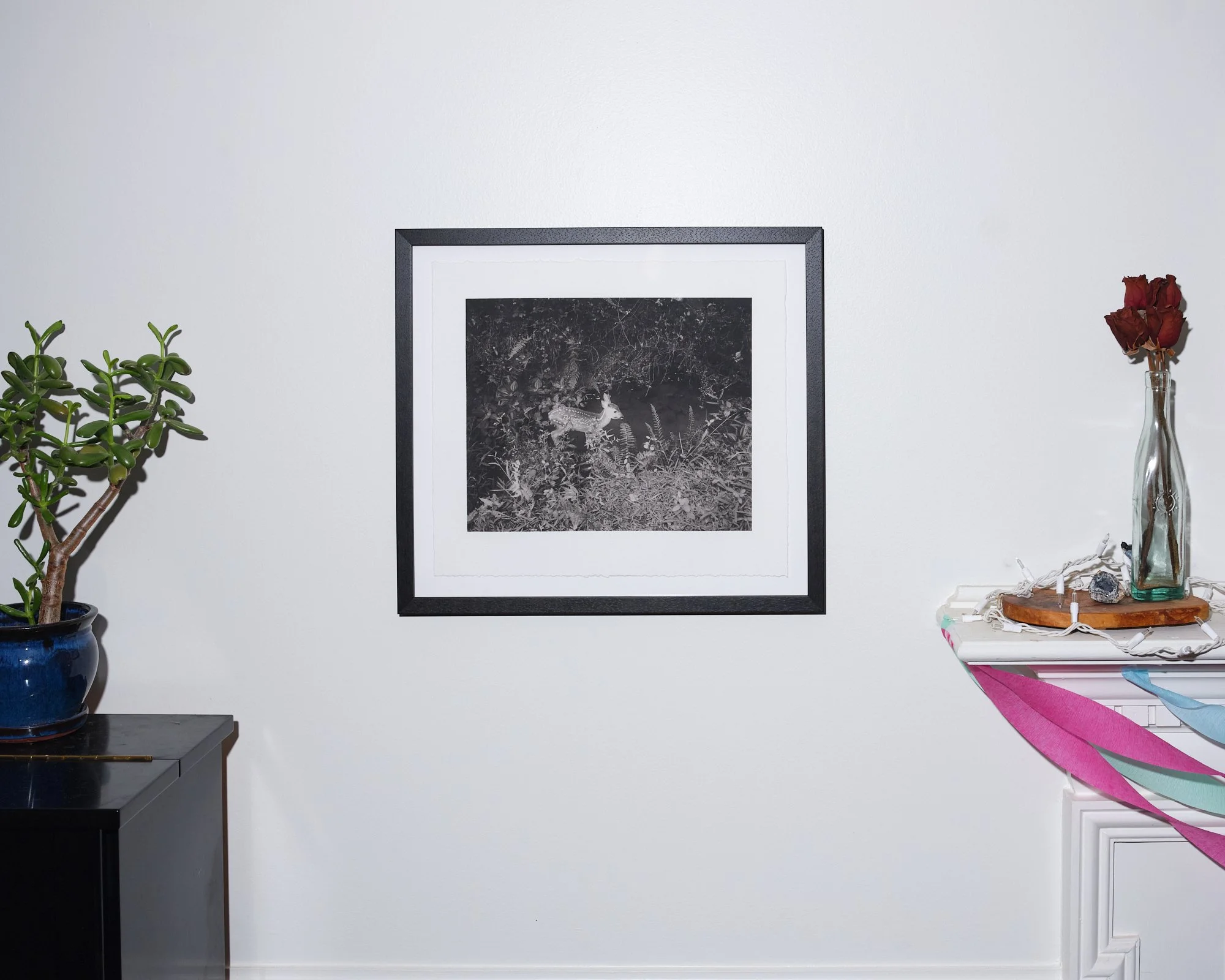 POP Photogravure (new edits 2).jpg