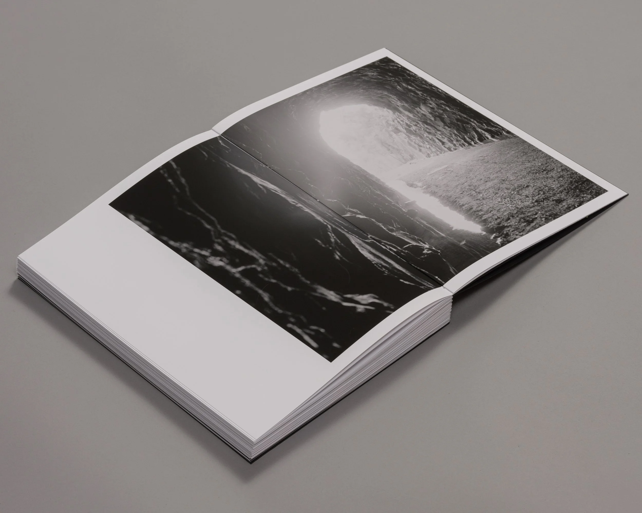 BirdSong_Documentation-23.jpg