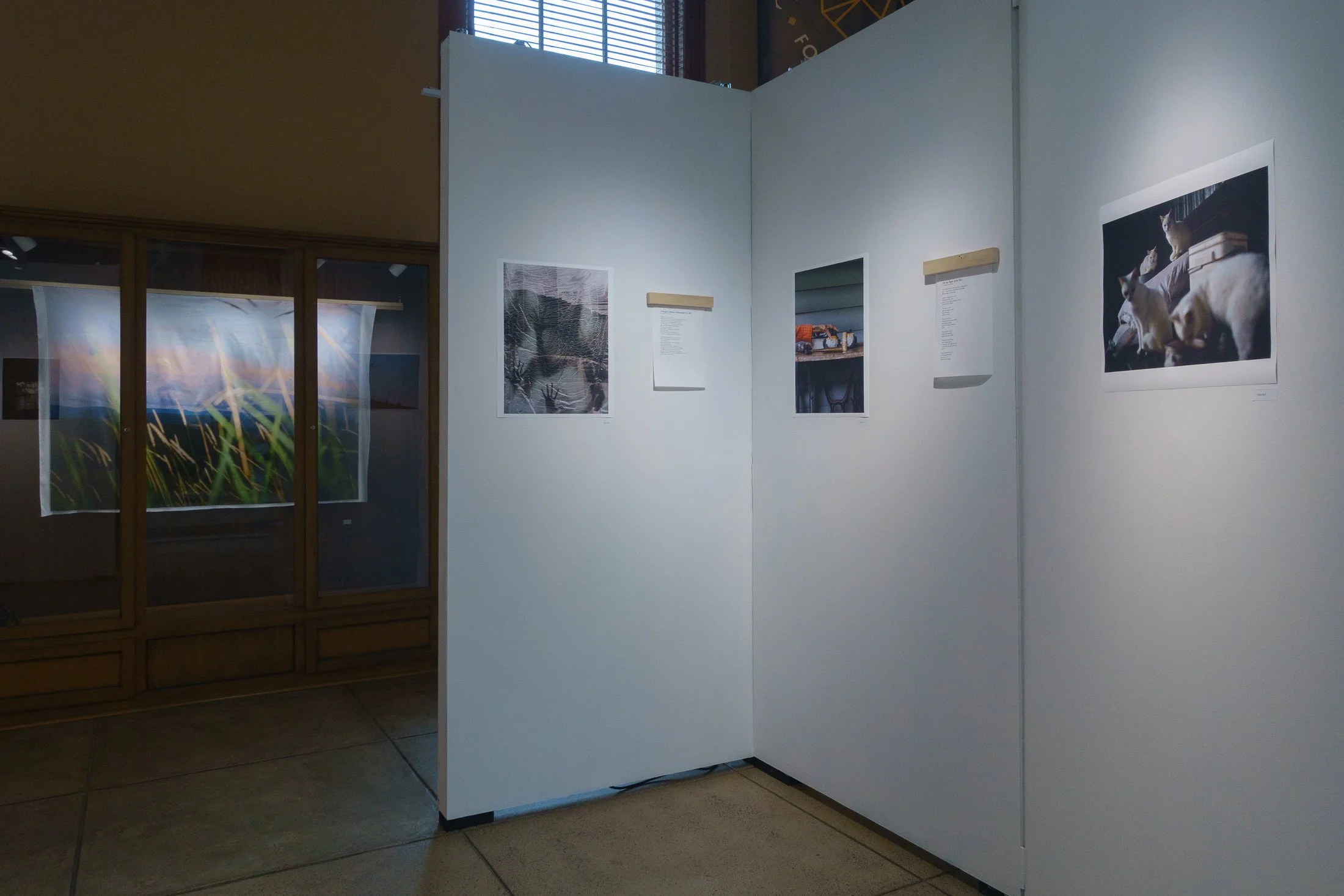 Installation of Pictures & Poems at The Carnegie Center for Arts and History, on view from March 11th through May 30th, 2026