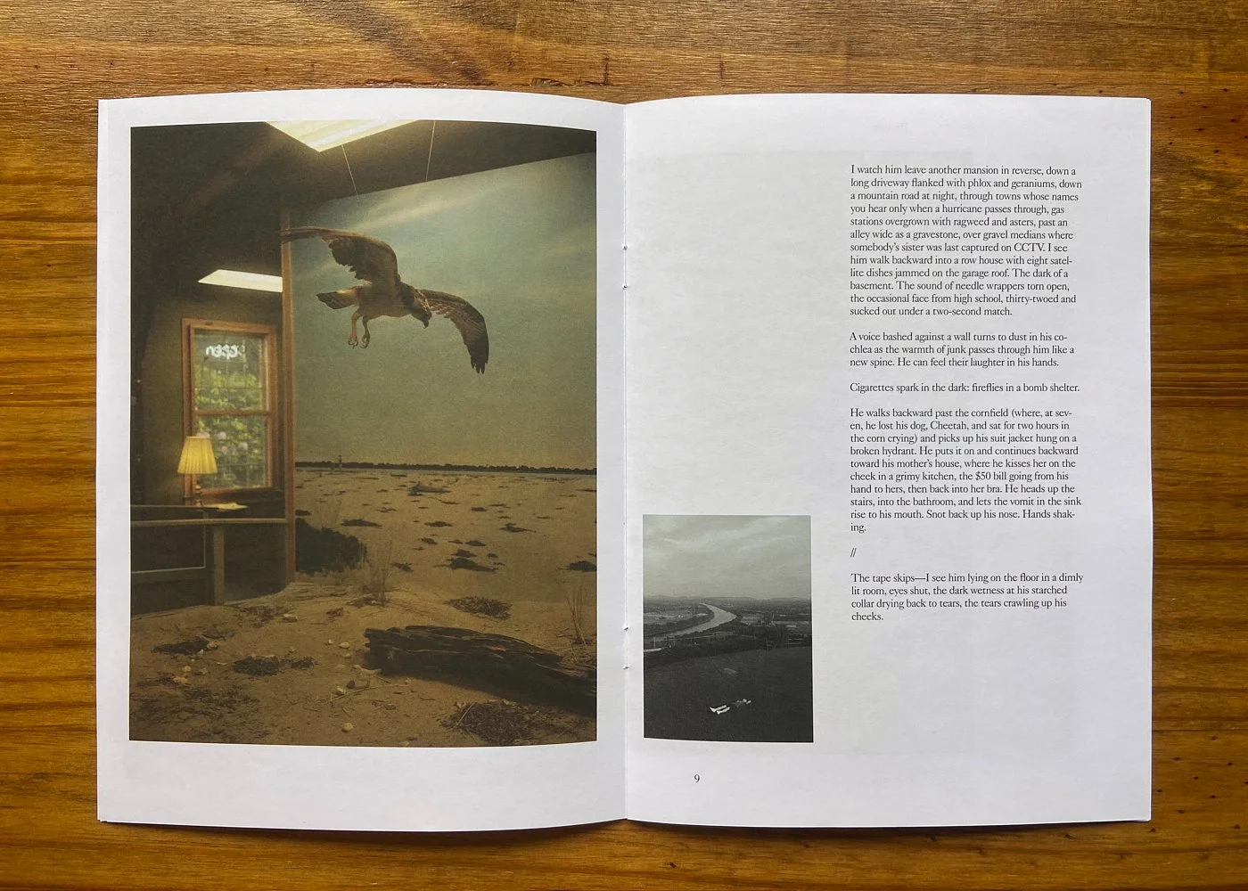 Pictures and Poems No. 4: Way to Dust by Ocean Vuong