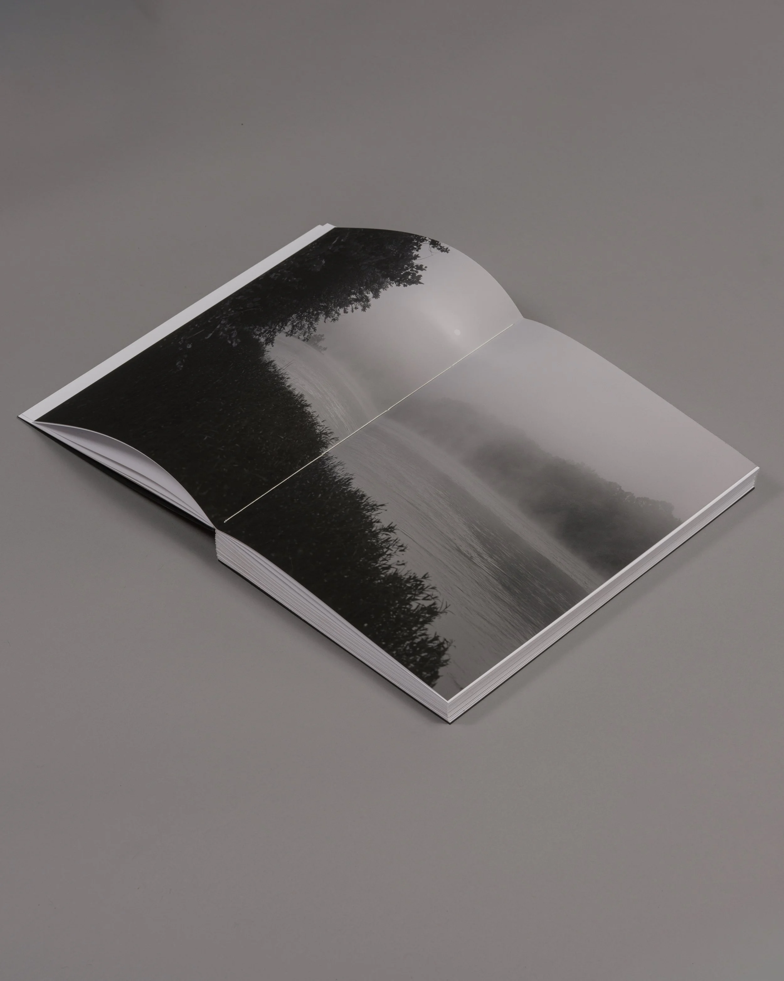 BirdSong_Documentation-27.jpg