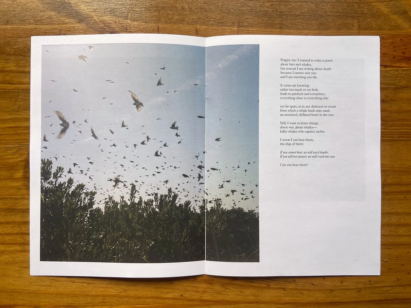 Pictures & Poems 03: After the News by Ash Adams