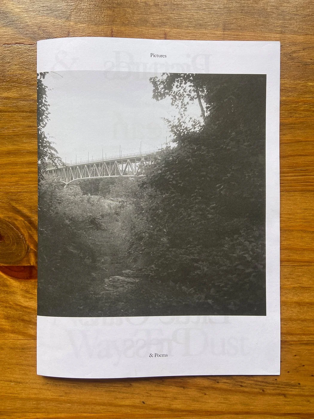 Pictures and Poems No. 4: Way to Dust by Ocean Vuong
