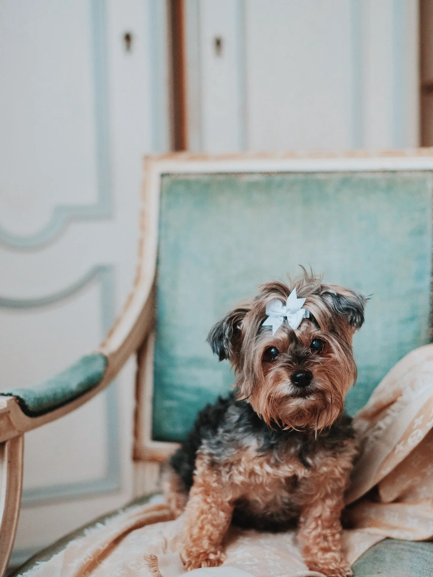 Carolina Isabel Paoletti, beloved Chief Happiness Officer of Paoletti&rsquo;s, passed away peacefully, surrounded by her loving family, after a brief but courageous battle with cancer.

Carolina was the heart and soul of her family, a devoted foodie,
