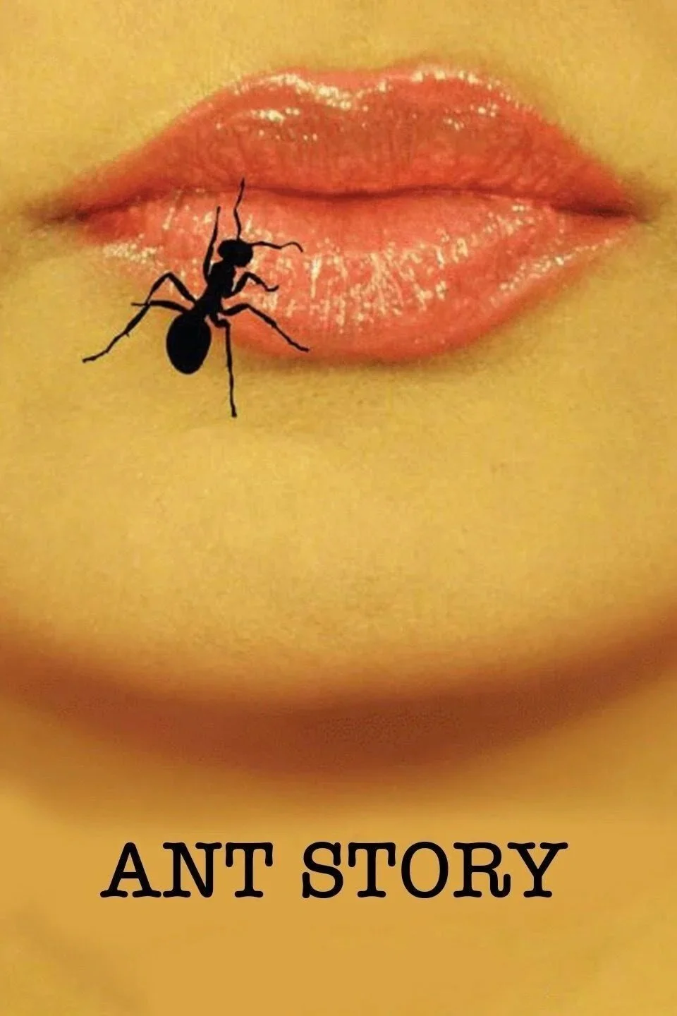 ANT STORY