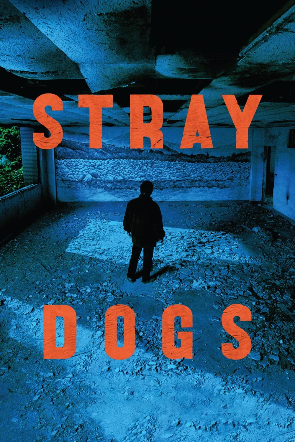 STRAY DOGS
