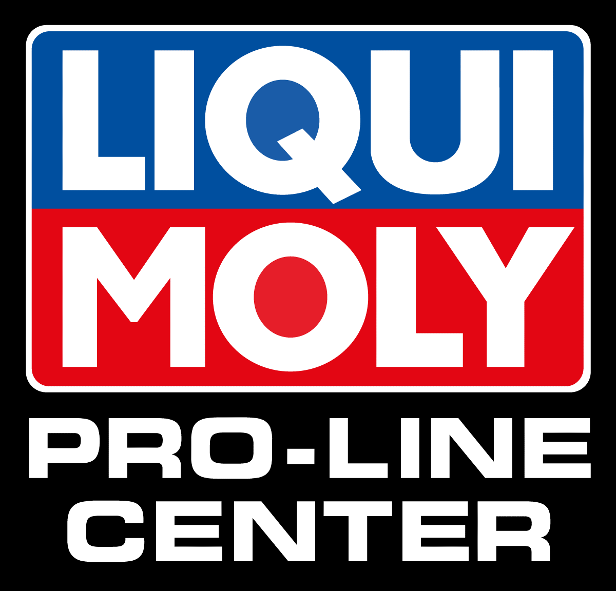 LIQUI MOLY PRO LINE GRAPHIC.png