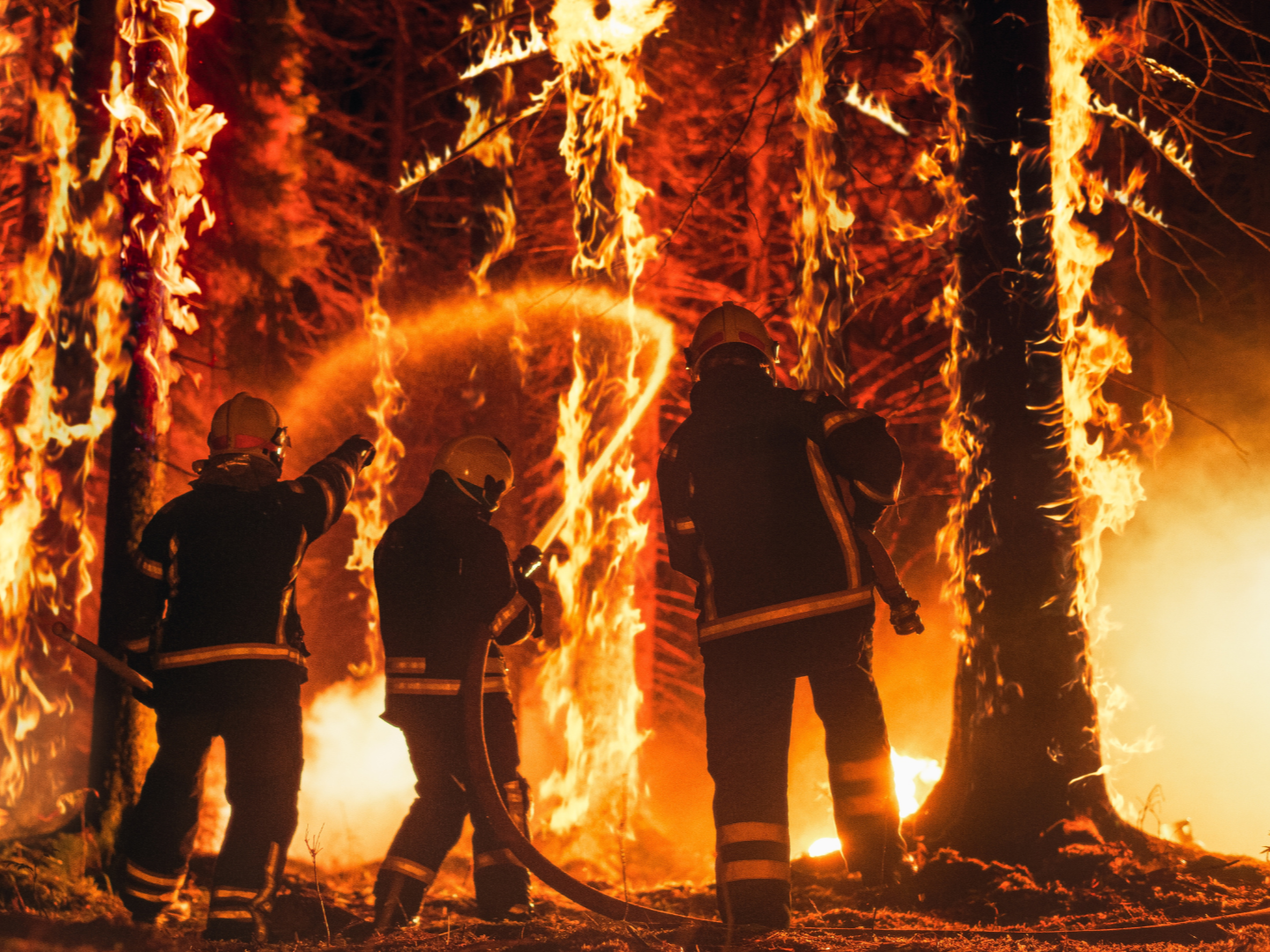 PEN International launches its Manifesto on the Defence of Nature&nbsp;&nbsp;