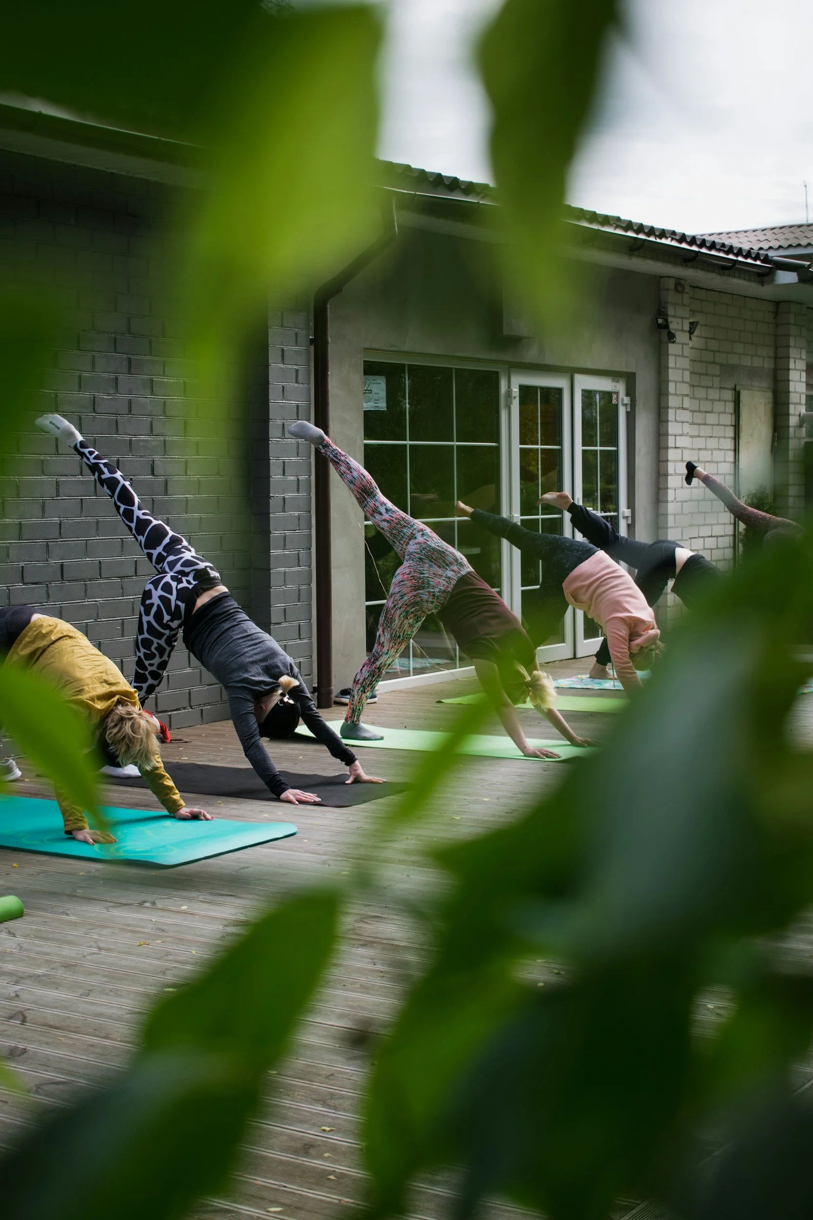People in a yoga pose during a custom retreat and immersive workshop hosted by Alex.