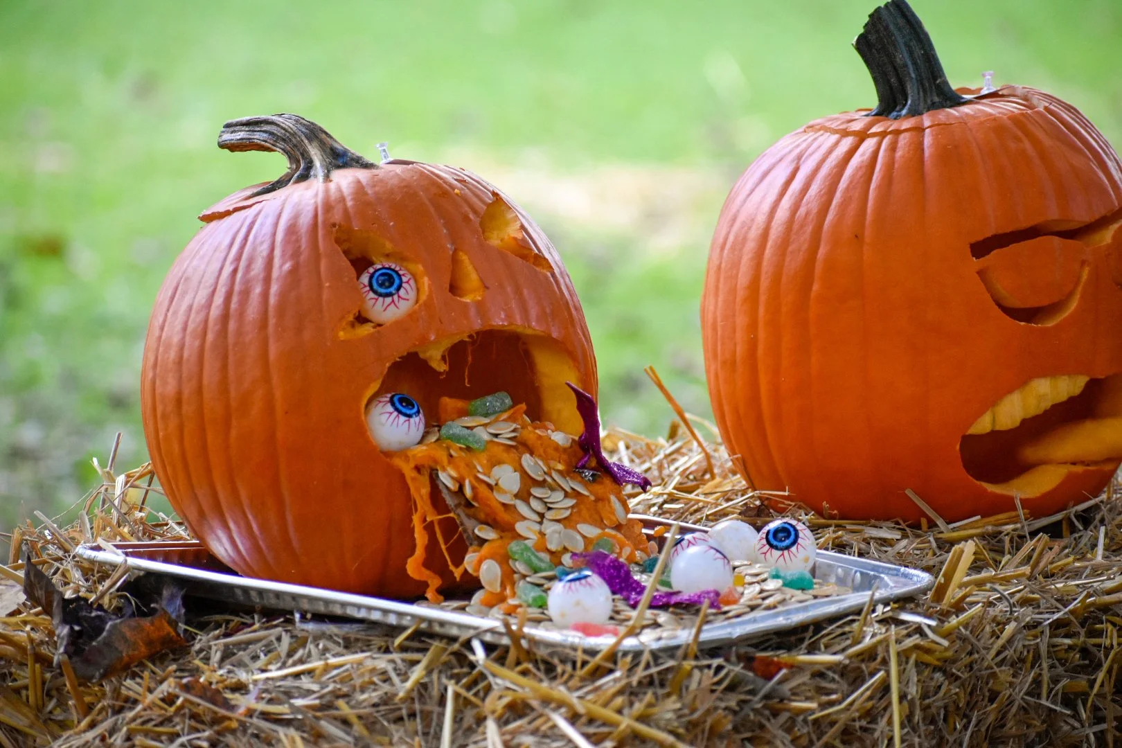 2024-pumpkinfest (9).jpg