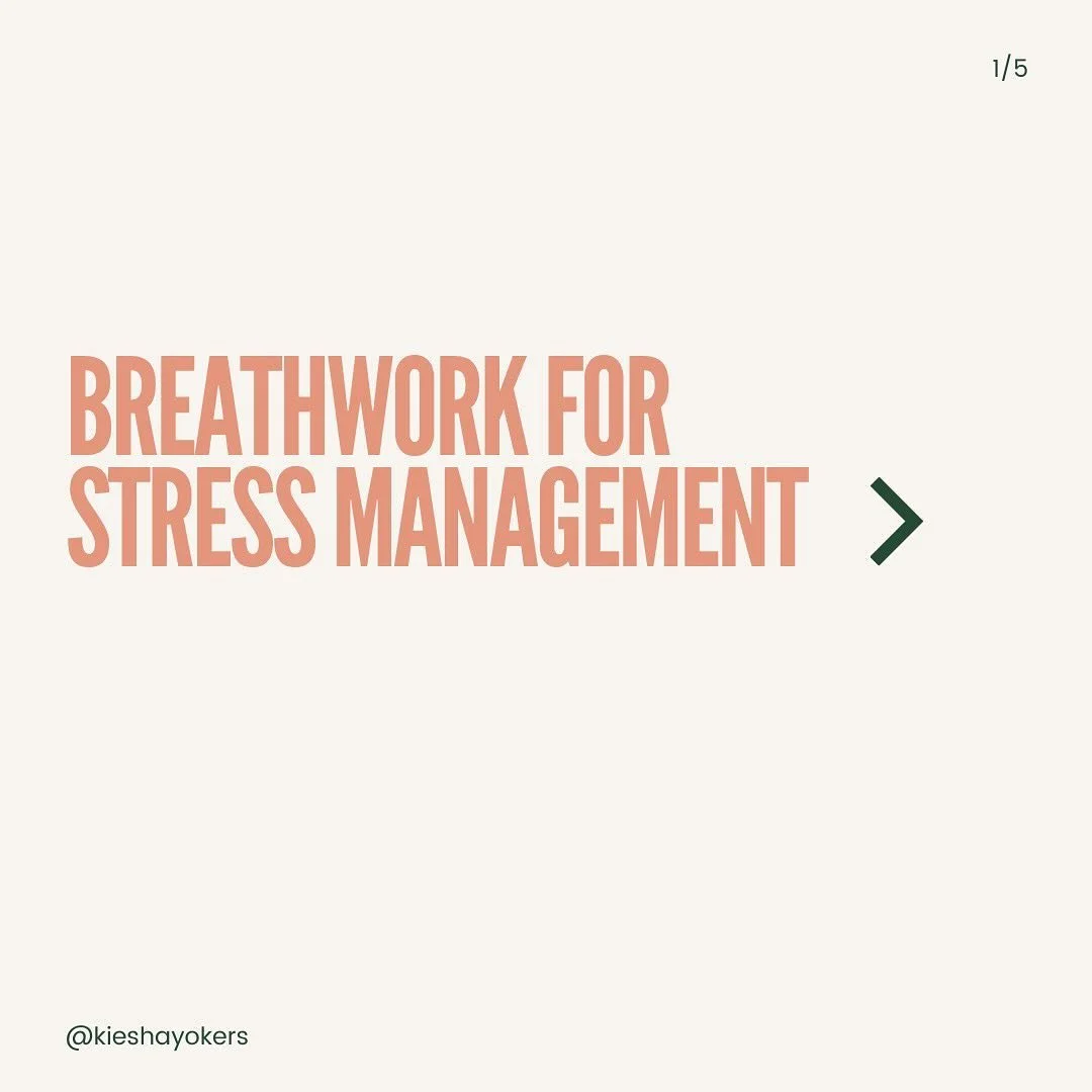 One of my favorite calming breathing strategies is coherent breath. Use this when you need to soften. 

Want to go deeper in your practice? Comment breathe for two free breathwork sessions sent to your DMs. 

#breathwork  #breathworkmeditation #breat